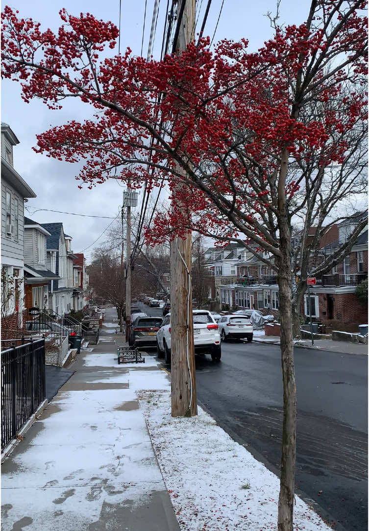 Walking in New York, winter 🥶 