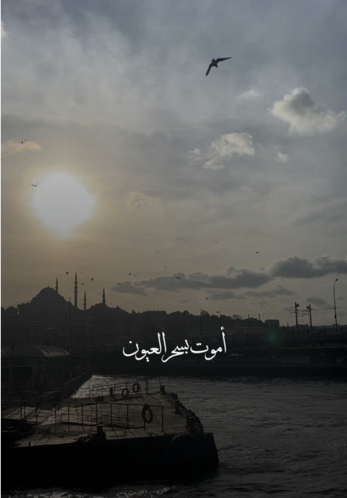 رغم العذاب والجنون..أموت بسحر العيون✨ #وحياة_عيونك #انتي_ملاك #رشودي #راشدالماجد #راشد_الماجد #راشديات @Rashed Almajid 