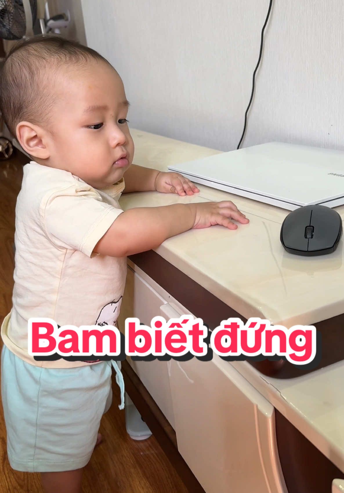 Chúc mừng Bam đã mở được le vồ mới :)) #heviho #siroheviho #sirohovienhanlam