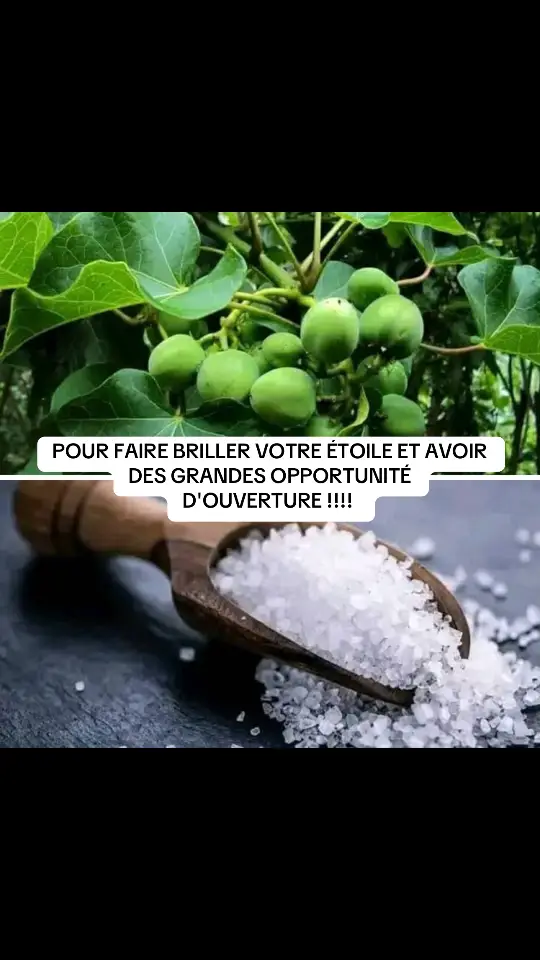          TESTER APPROUVÉ  INGRÉDIENTS : Jatropha blanc Sels gros grains PROCÉDURE : Vous cherchez les feuilles de jatropha blanc. une quantité que vous allez trituré et filtré.  Ajouté du sel de germe (sel gros grain). Laissez sous la rosé et le lendemain matin à 5h avant que le soleil sort Allez faire le bain sans savon en demandant que votre étoile brille comme jamais et pour toujours NB : Se bain se faire sur 3 ou 7 jour. TRÈS SIMPLE MAIS TRÈS EFFICACE Pour tous vos préoccupations personnels veuillez me contacter sur mon unique numéro WhatsApp  . Que ça soit un problème de sorcellerie , problème de justice , voyage , mariage , travail peu importe le problème veuillez me contacter sur mon numéro WhatsApp qui est sur ma profil 