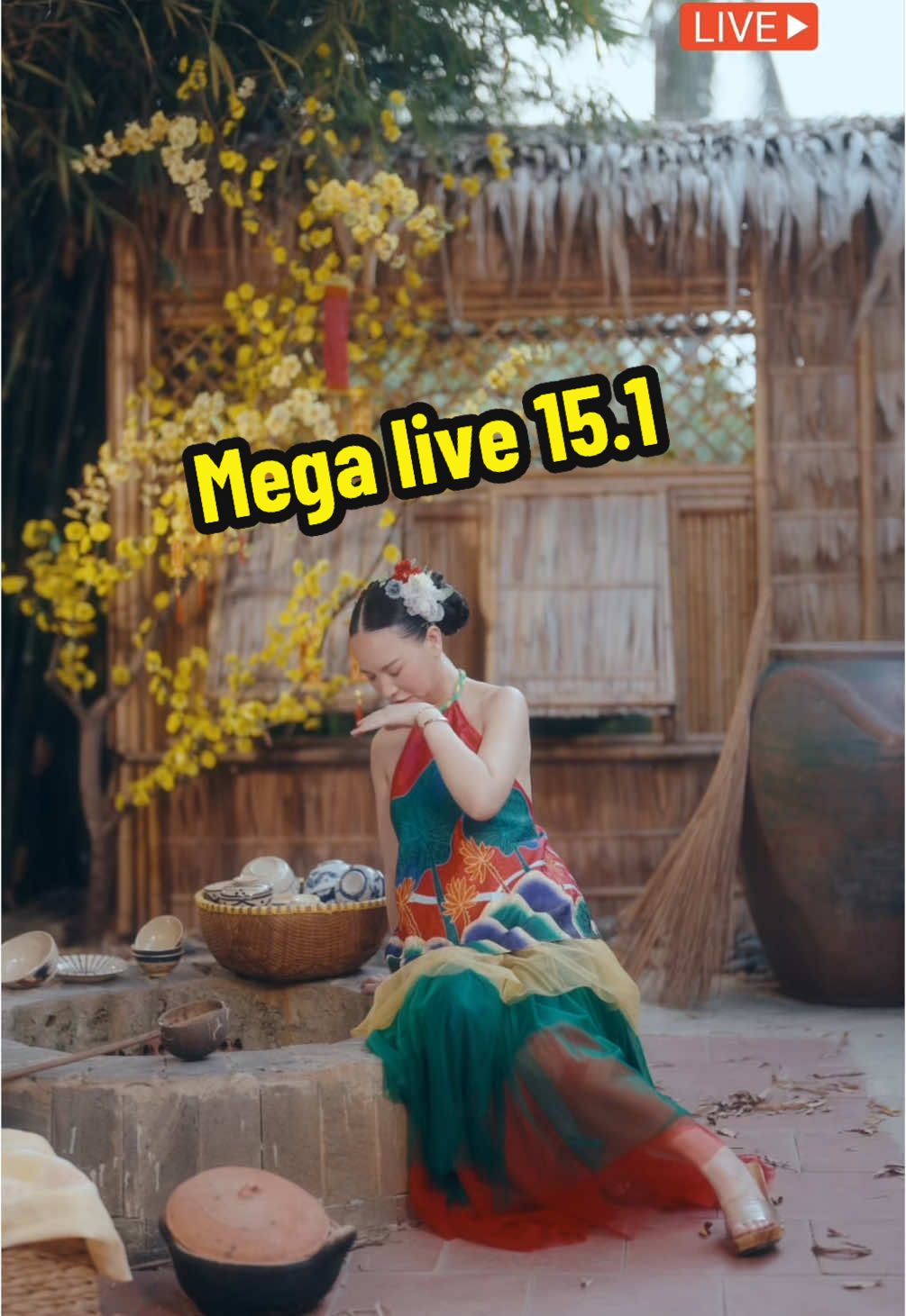 Mega Live vào lúc 7pm ngày 15/1 trên kênh Shopee. Voucher 30% và tung voucher 50% bất chợt nha. Số lượng giới hạn nên mọi người nhớ vào sớm nghen. Sàn báo sẽ ship kịp Tết nhaaa #hannaholala #shopeelive 