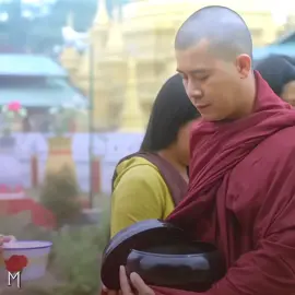 မုန်းစွဲ x dandelions #naytoe #Love #romance #myanmar #myanmarmovie #edit #alightmotion #fyp #fypviral #foryoupage #foryou #viral #fy 
