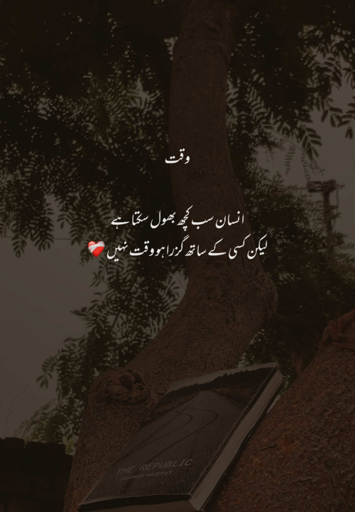 Waqt ❤️‍🩹/#foruyou #videoviral #poetry #lines #whstsappstatus #foryoupage❤️❤️ #whstsappstatus #foryoupage❤️❤️ #Love #treanding #foryoupageofficial 