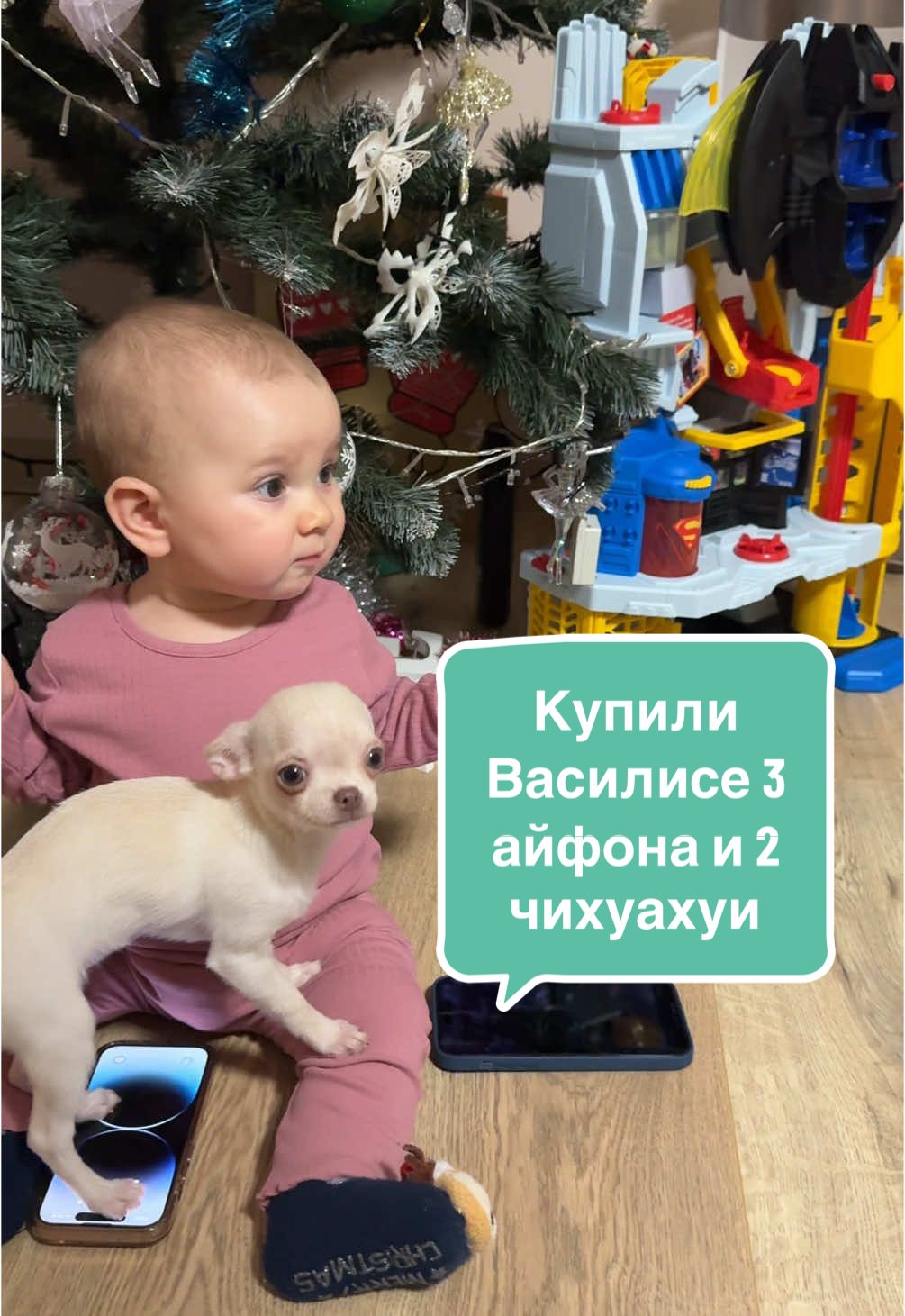 Как думаете какие телефоны можно купить теперь собакам? #нахуятебетелефон #айфон #молодаямама 