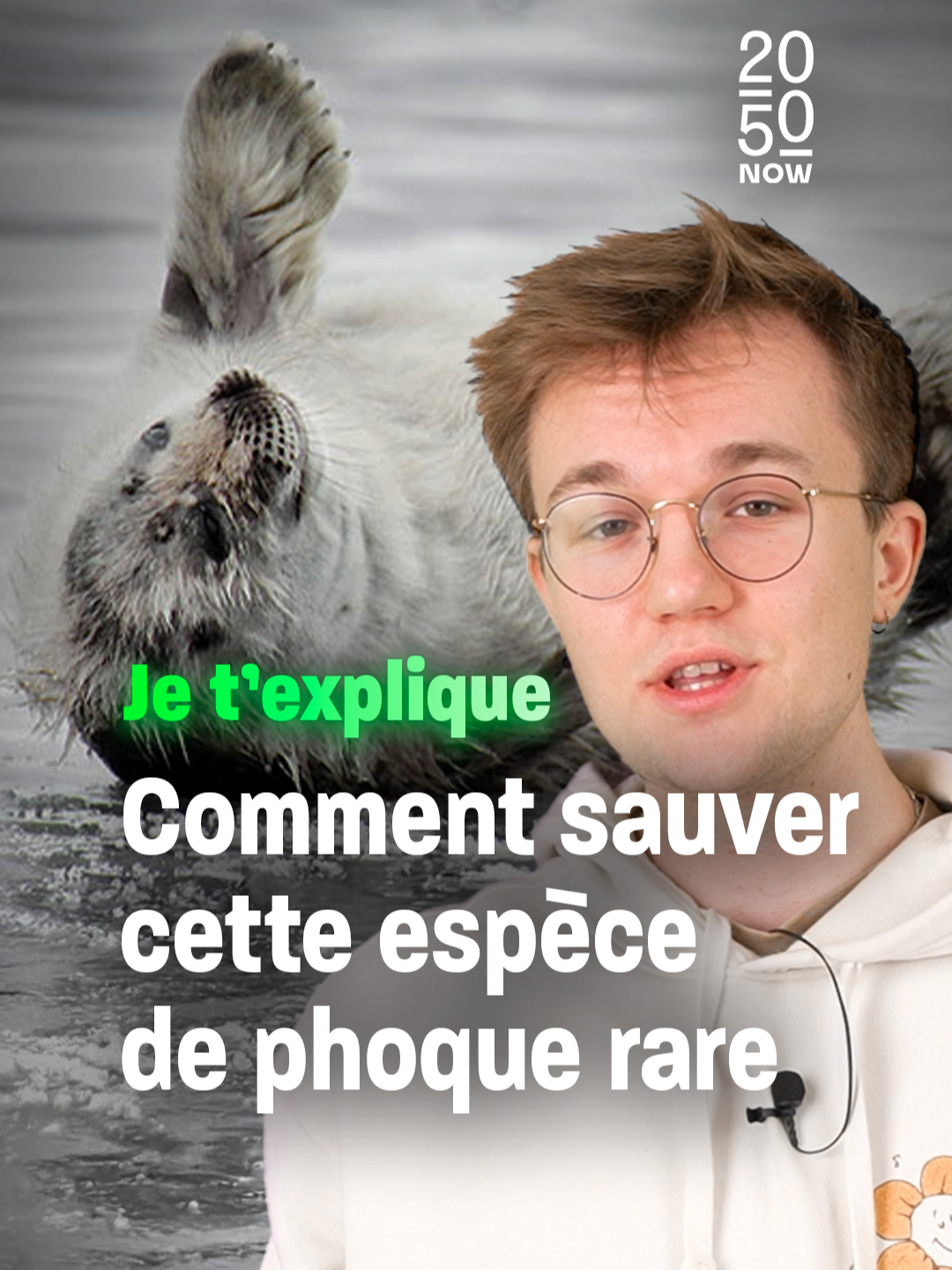 En Finlande, depuis dix ans, des bénévoles engagés ont trouvé une solution ingénieuse pour sauver ces phoques ! @nathankold t’explique 🦭 #Réchauffement #Climat #Phoque #Finlande #Sinformersurtiktok