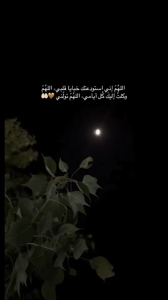 #اللهم_امين 🤎