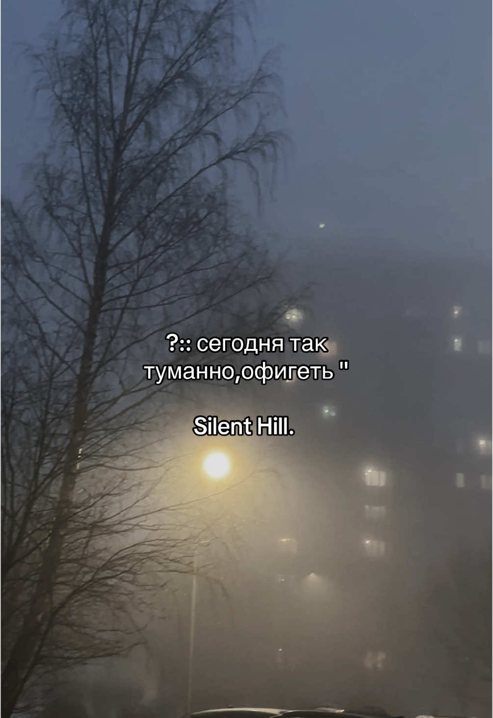 хмхм #silenthill #щитпост 