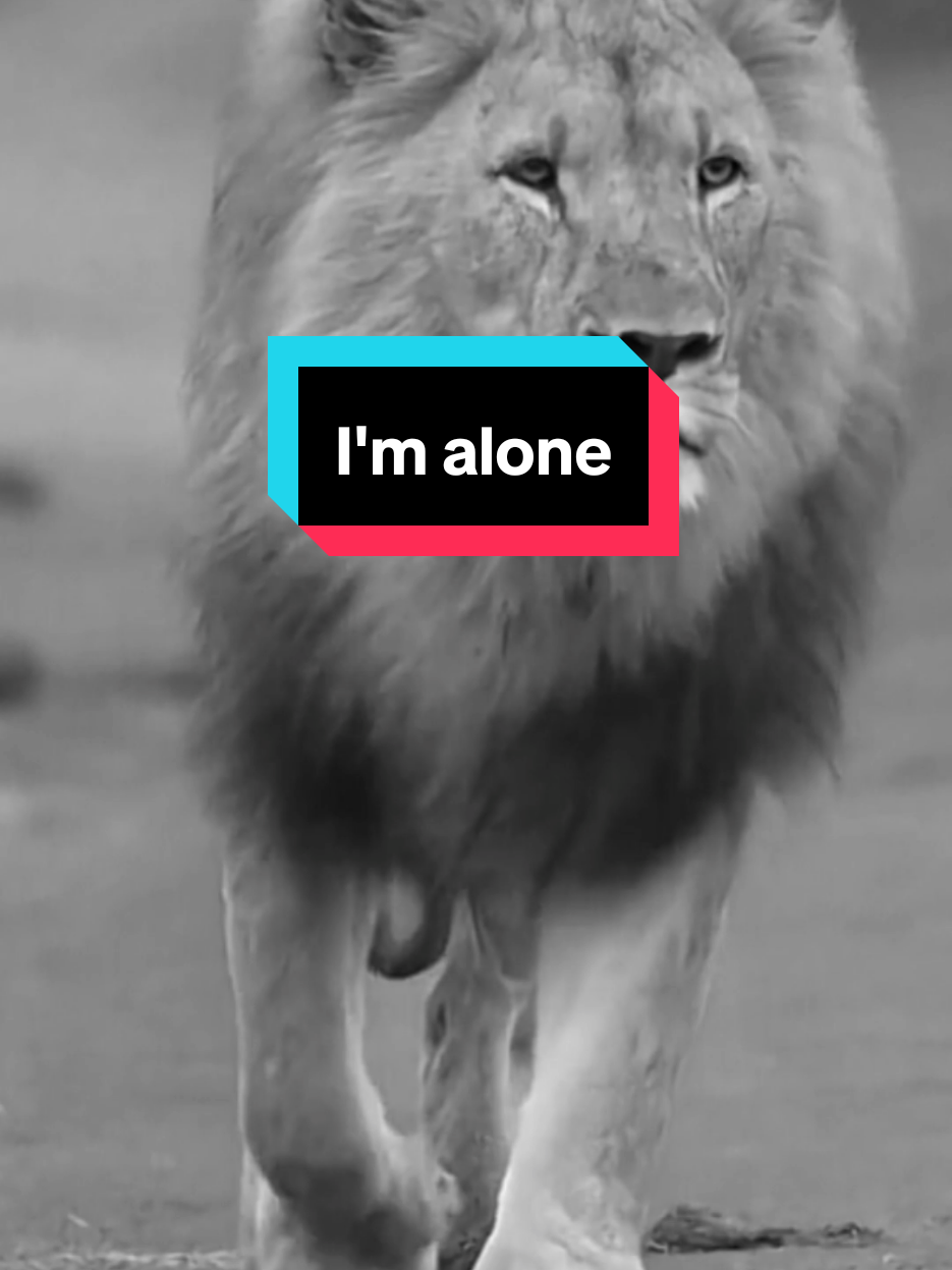 لقد بدأت وحدي وبكيت لوحدي وقد فشلت لوحدي ونهضت لوحدي وسوف أنجح لوحدي  I started alone, I cried alone, I failed alone, I rose alone, and I will succeed alone #اقتباسات #حالات_واتس#تيك_توك #اكسبلور#ترند#كلام_من_ذهب #تحفيز#عبارات #motivation #motivationalquotes #motivationmonday #motivationalvideo #explore #pourtoii #fyp #viral_video #newtrend #treanding #tiktoklongs #tik_tok #italy #france #السعودية #العراق #سوريا#الاردن #الكويت #قطر #البحرين#تونس #عمان#ستوريات #الجزائر#المغرب #الامارات #فرنسا #لبنان#ليبيا 