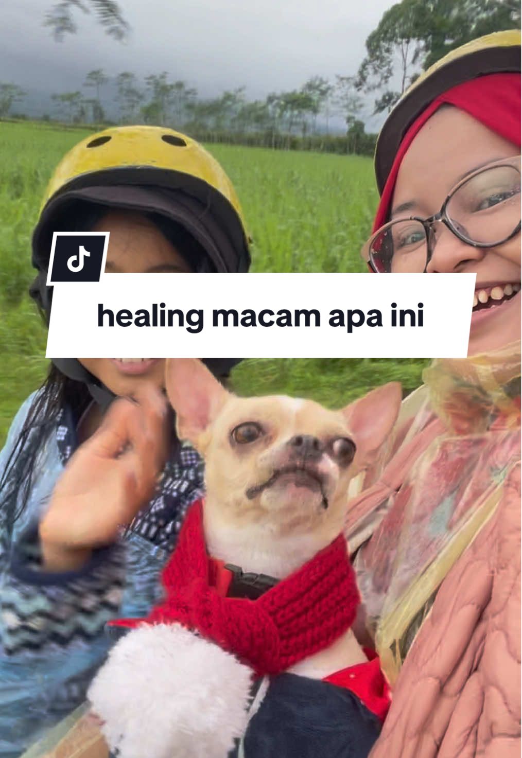 healing macam apa ini???  #matcha #healing 