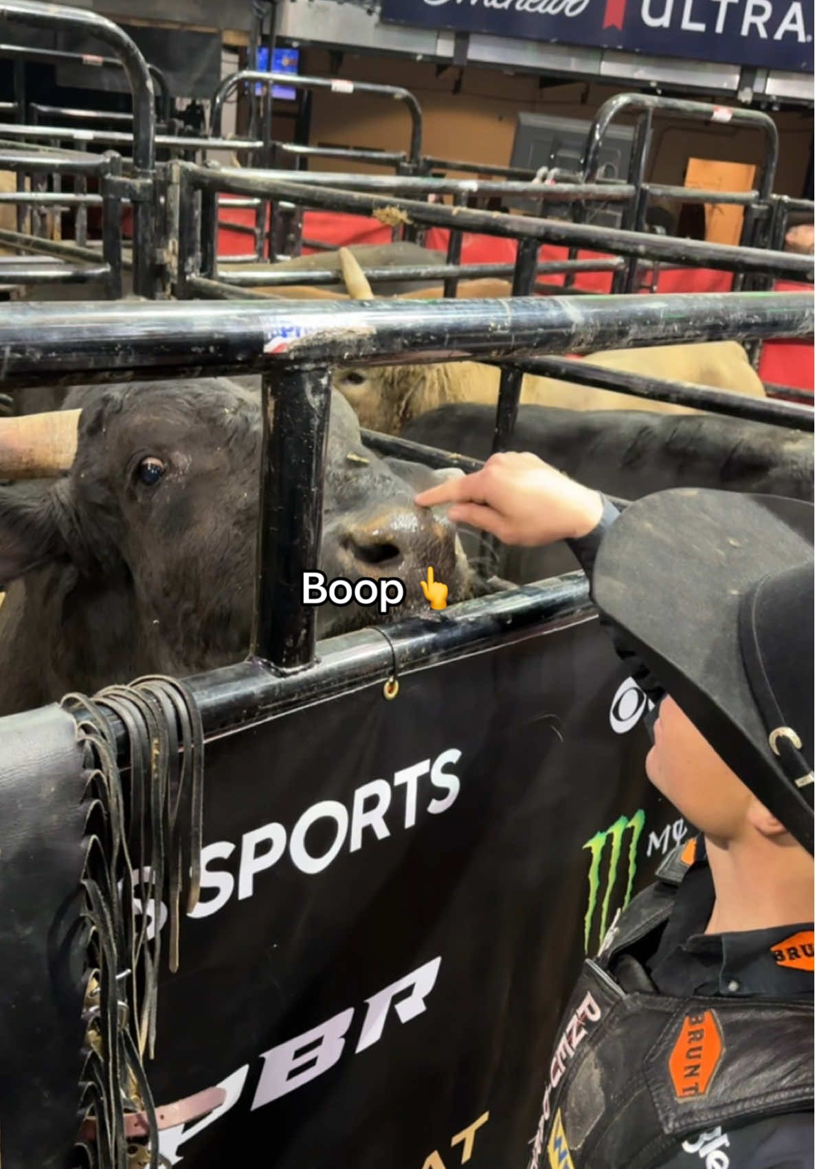 Not even the riders can resist a boop 👆@austin Richardson #pbr #utb #bullriding #behindthescenes #newyork 