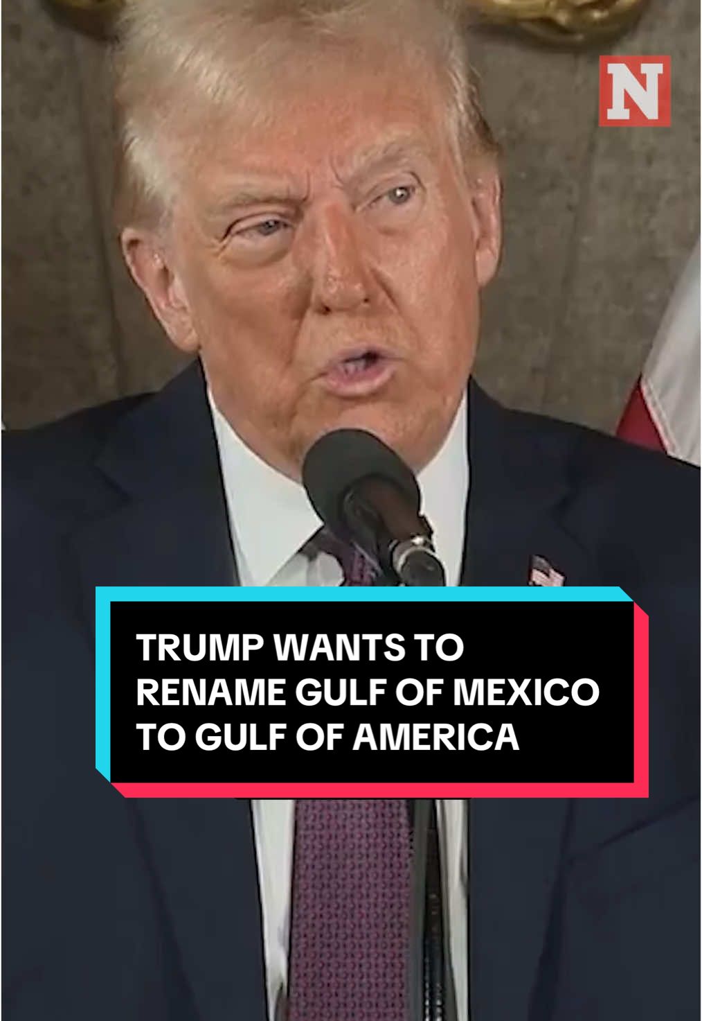 President-elect Donald Trump told reporters he wants to rename the Gulf of Mexico to the Gulf of America. This comes on the back of several recent comments about purchasing other countries. #news #newsweek #politics #mexico #DonaldTrump 