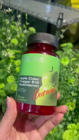 #meoll#gummies #holistic #womenhealth #moringa #tiktokshop #tiktokpartner #tiktokindia 