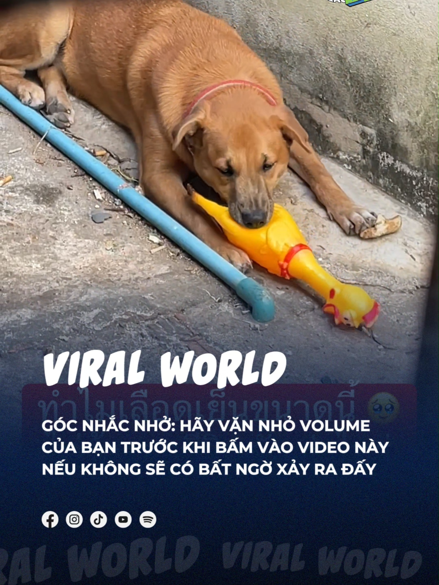 Cái tiếng sao nó cứ quen quen =))) #beatviralworld #beatnetwork #bnetwork #beatvn #beatoflife