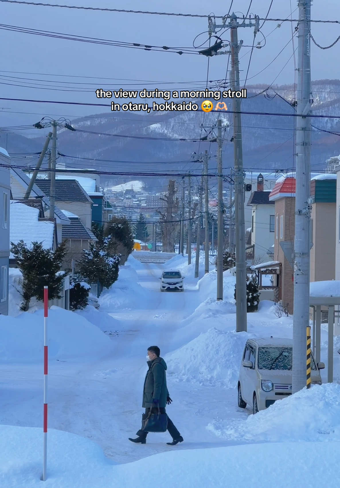 winter in hokkaido>>> #hokkaido#japantravel#tiktoktravel 