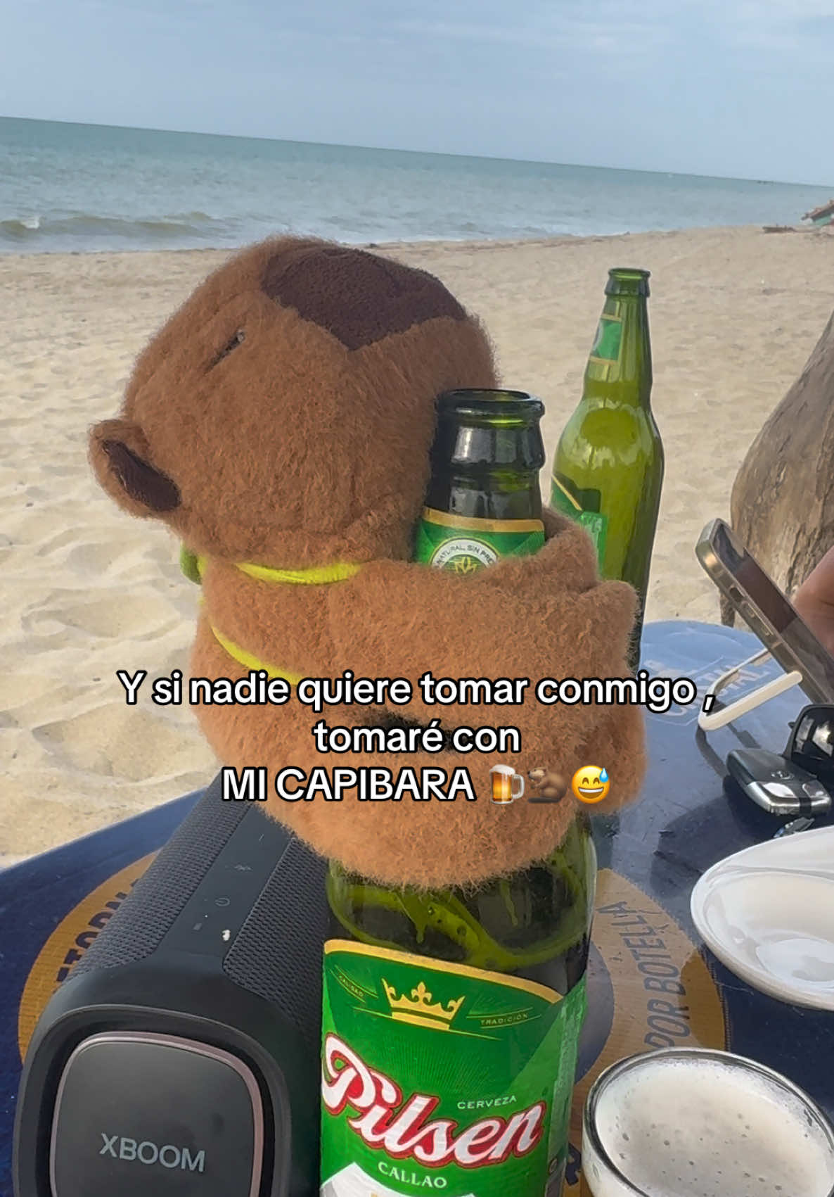 SALUD CON MI CAPIBARA 🍻🦫😅 #capibarismo #capibara #vichayito #mancora #cerveza #piura #playa #borrachos_parranderos #capibaras #cervecita #ricorico #fyppp #paratiiiiiiiiiiiiiiiiiiiiiiiiiiiiiii #xzyabc 