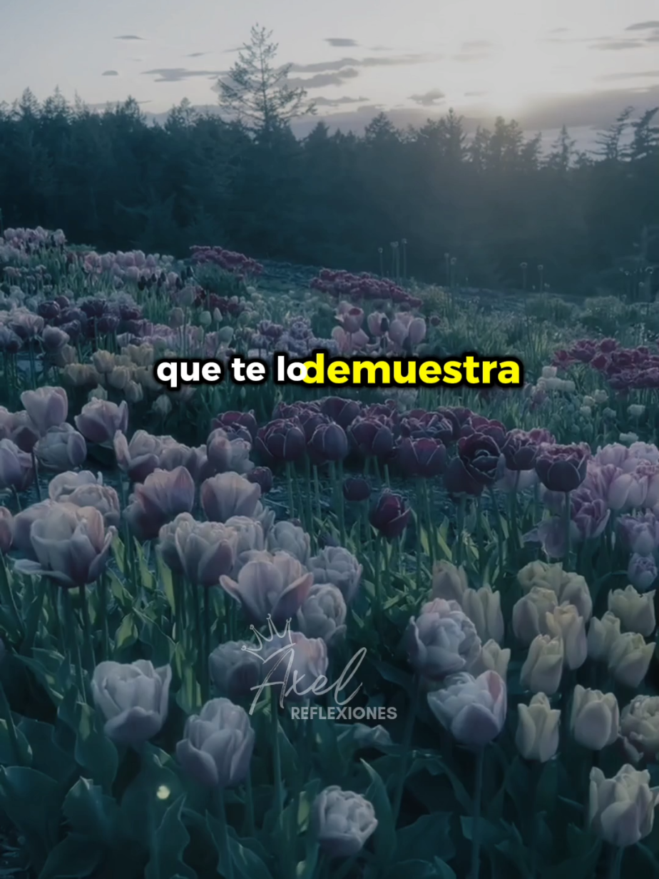 Muchas veces no somos consciente de lo que tenemos hasta que lo perdemos .. #reflexion #leccionesdelavida #gratitude #motivacion #motivacionpersonal #reflexionesdelavida #consejos #enseñanza 