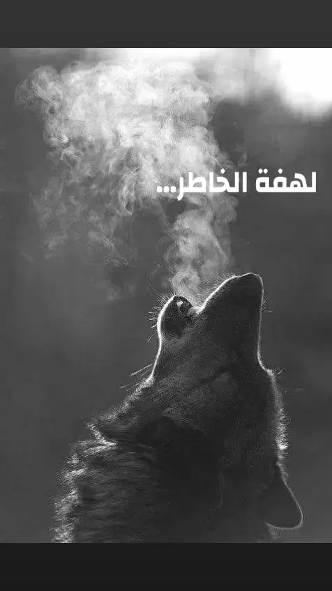 #فارس_مهدي  #يا_ذيب_لي_منوة  #اكسبلورexplore 