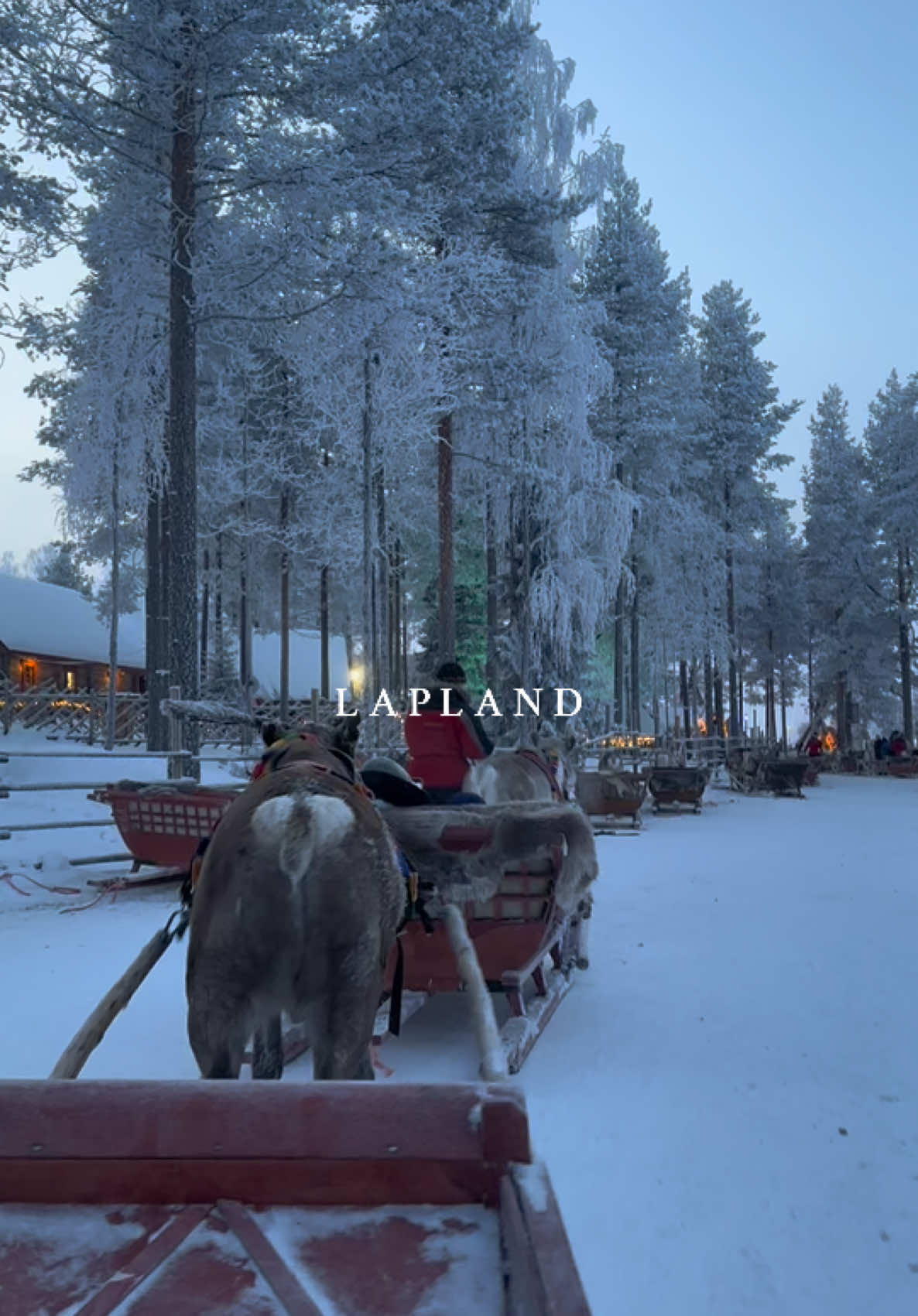 An absolute dream 🤍❄️🧑‍🎄 #lapland #finland #rovaniemi #snow #santaclaus #santavillage #reindeers #travel #wintertravel #fyp #foryou 