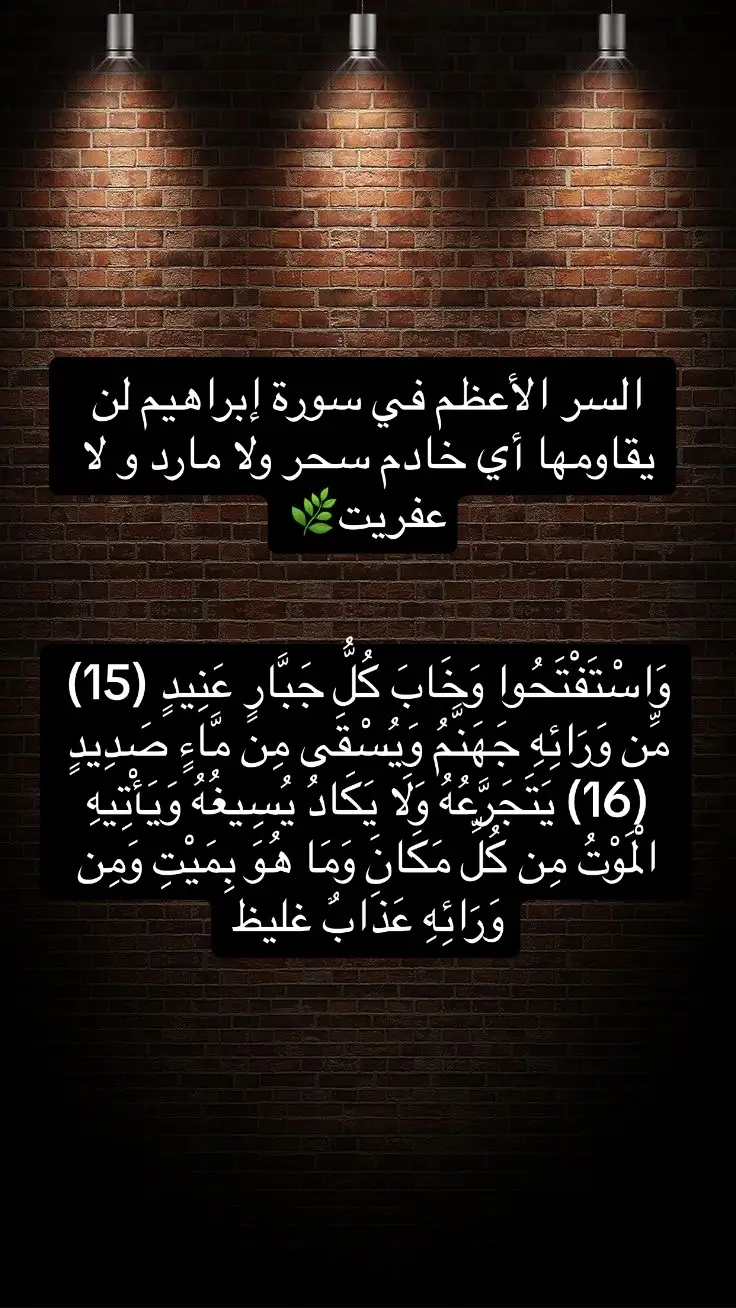 #قران #قران_كريم #دعاء #مالي_خلق_احط_هاشتاقات🧢 #حجاب_شرعي_جمال_المرأة🌸🌝 #قران_كريم_ارح_سمعك_وقلبك #قران_كريم_ارح_سمعك_وقلبك #جمعة_مباركة #جمعة_مباركة #متولي_الشعراوي #اكسبلورexplore #ليبيا🇱🇾 #حجامه #علاج #سلێمانی 