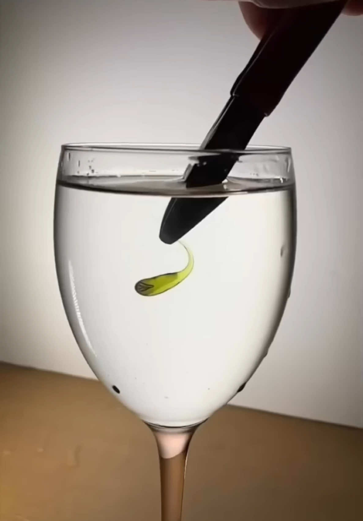 Using different glass to make genuine Prince Rupert’s drop #fyp #princerupertsdrop #viral 