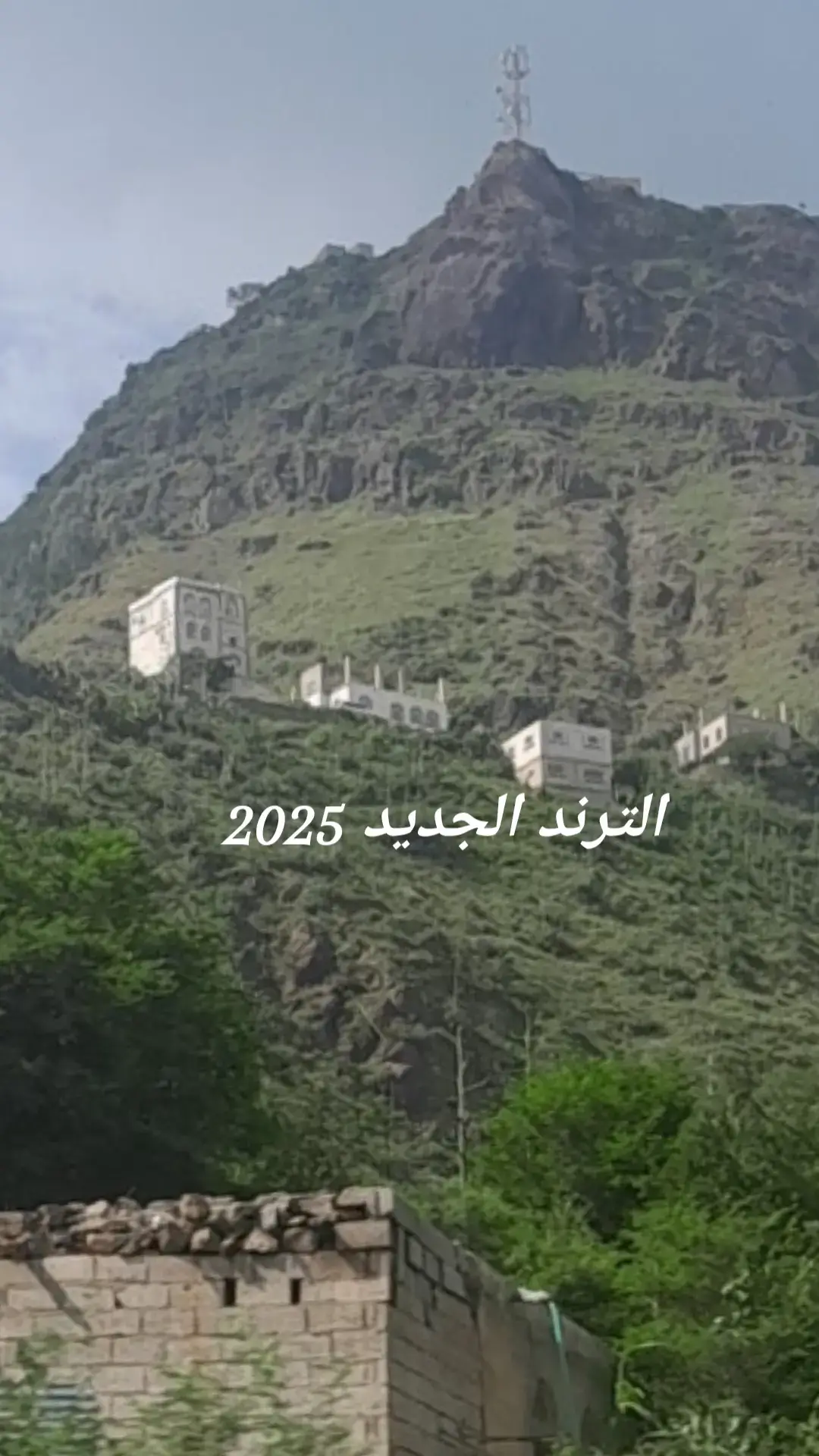 الترند الجديد 2025