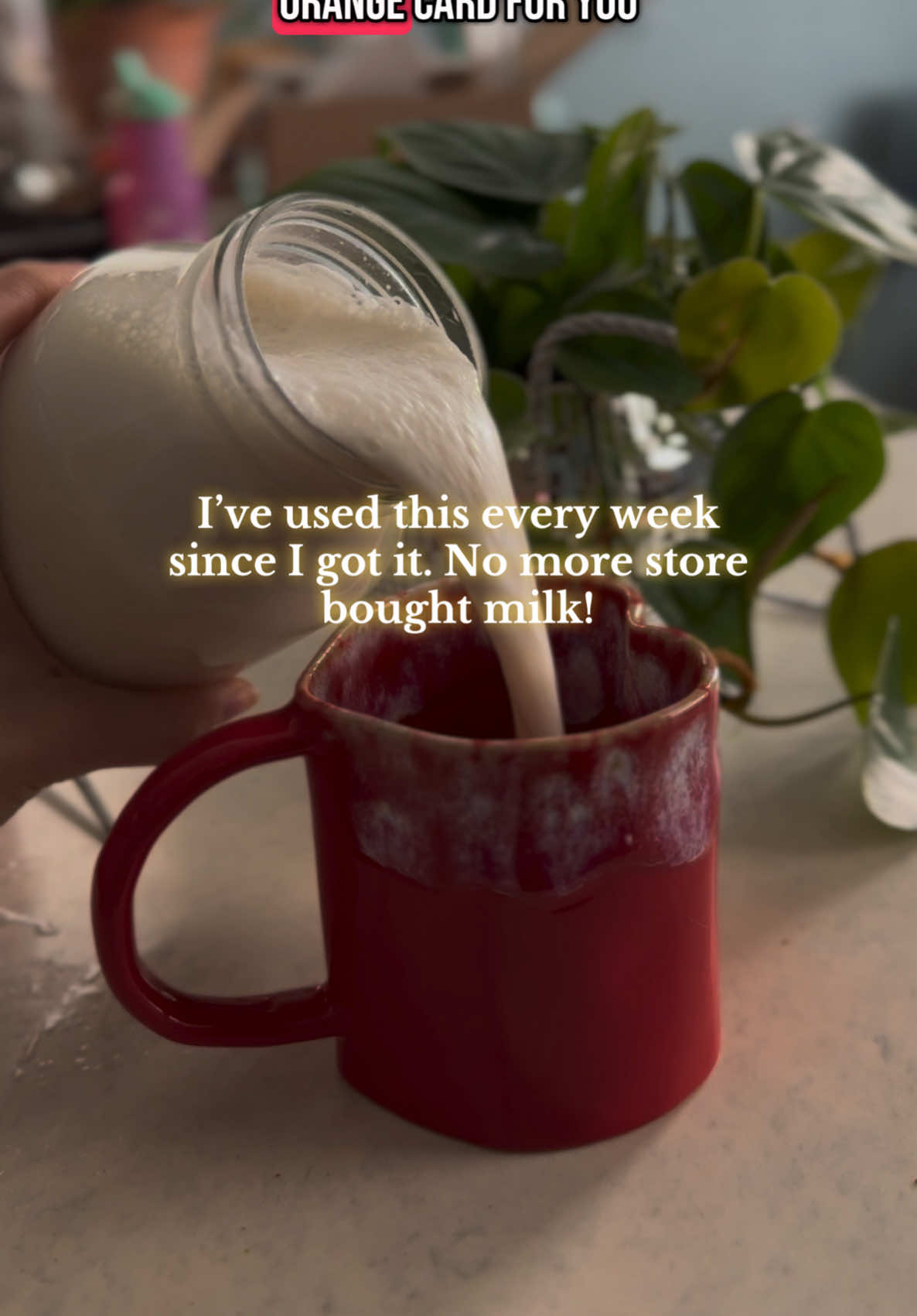 Still in my top 5 favorites from tt shop #nondairymilk #veganmilk #plantmilk #nutmilk #nutmilkrecipe #nutmilkmachine #oatmilk #oatmilkrecipe 