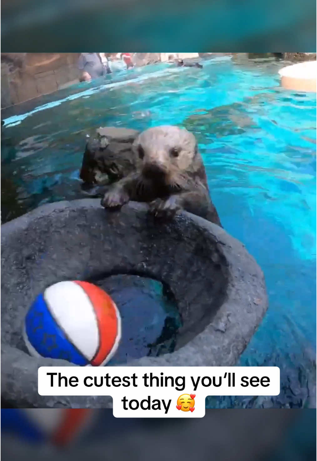 Even this otter can dunk and you don‘t ☠️ #slamball 