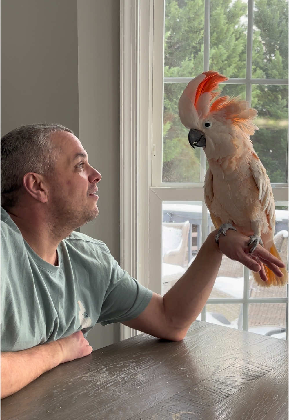 Tango wanted the kids to build a snowbird #birdsoftiktok #foryoupage #cockatoo #parrot #parrotsoftiktok #fyp #snowman #cockatoo #birds #tango #petlover #silly 