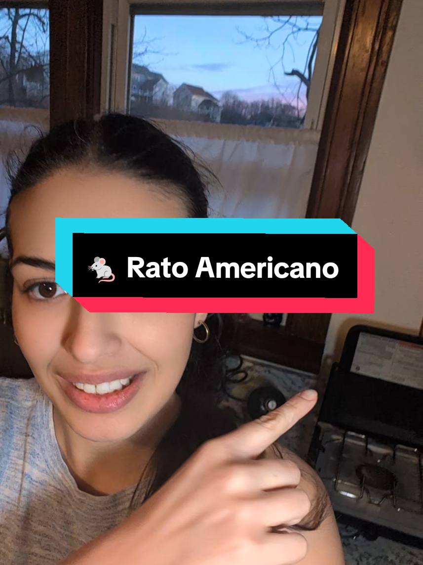 Replying to @iranisegura A saga do Rato Americano 