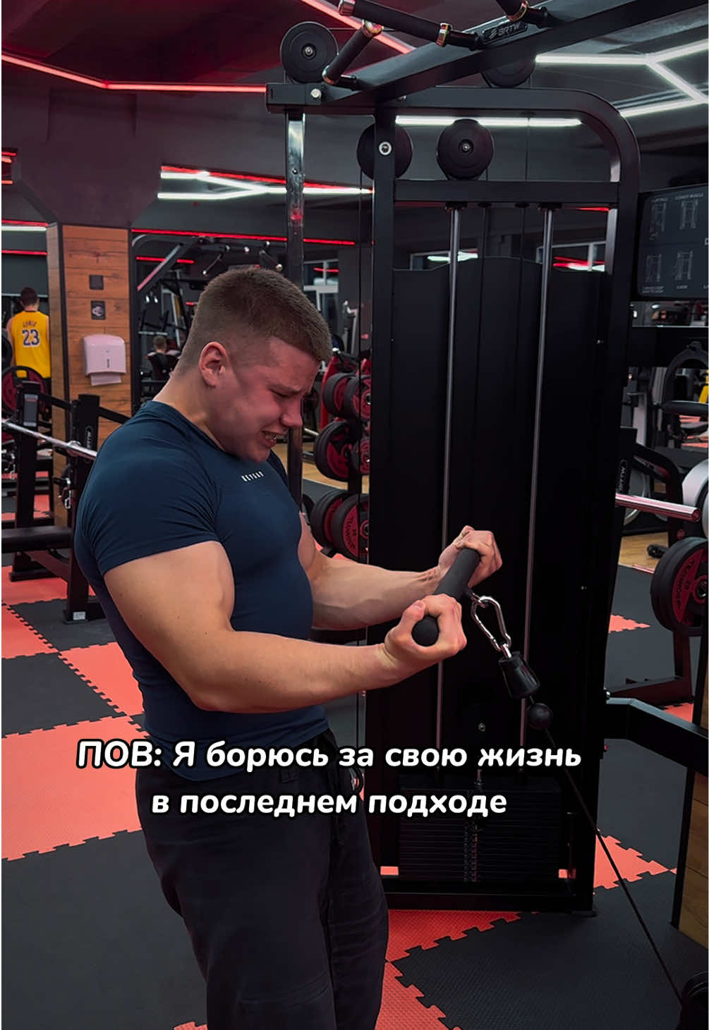 ГАЙД на массу в тгк БЕСПЛАТНО  #GymTok #gym #gymmotivation 