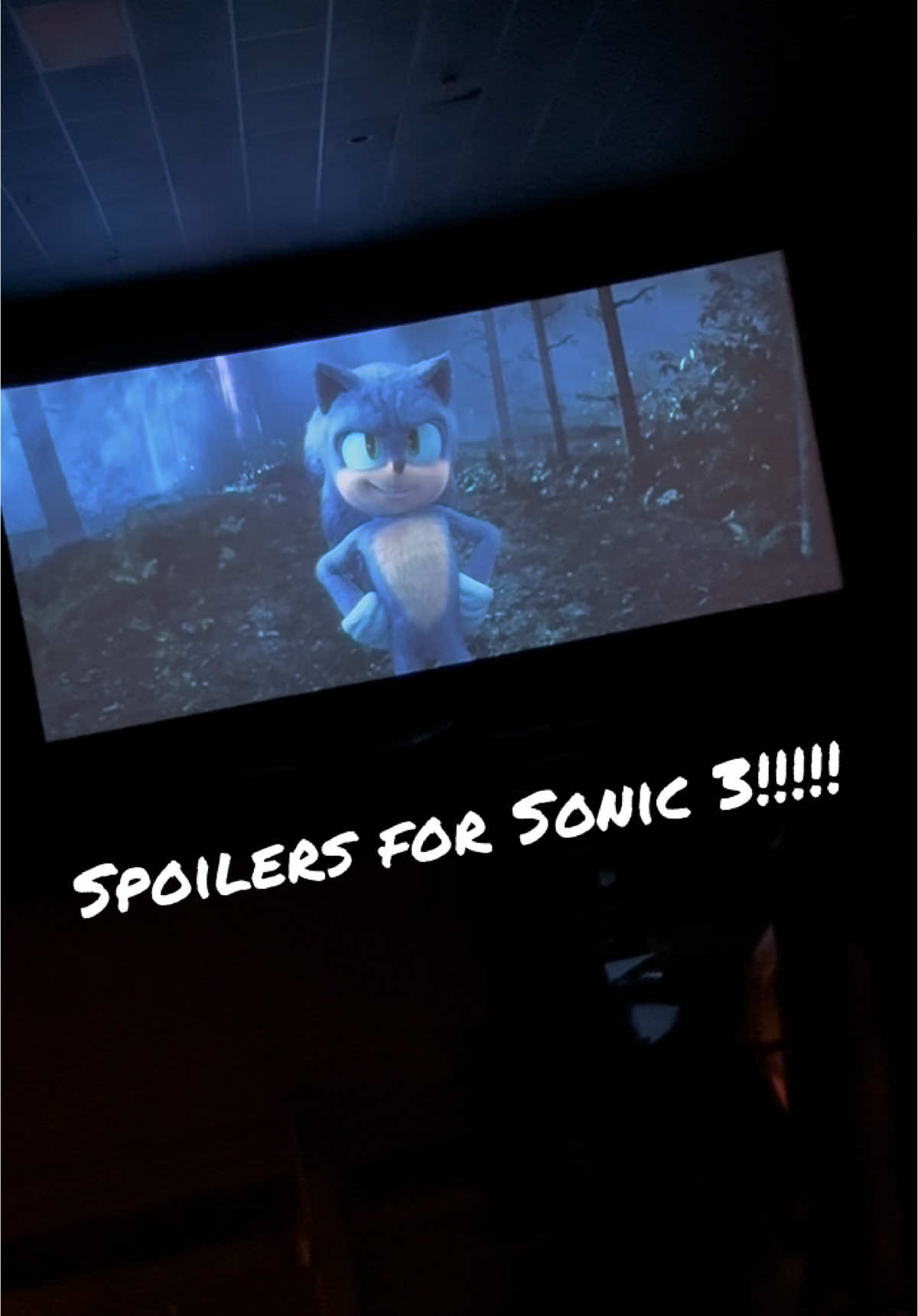 It’s been long enough. Here’s my reaction to the post credit scene of Sonic 3 #sonicthehedgehog #sonic #sonic3 #sonicthehedgehog3 #shadow #postcreditscene #sonicpostcredits #metalsonic #amy #amyrose @Andrea @Jay's Nonsense @matthewallocco @Ignis 