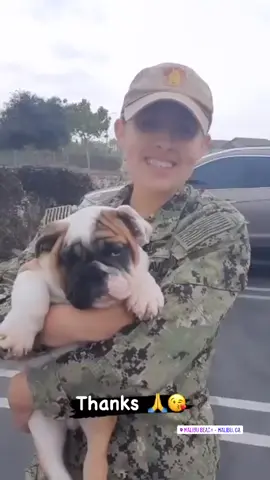 Full AKC  Health tested Facetime open 📁 pedigree , vaccine  NB Family licence breeders  Pickup option Open   ✯ Support & comment 👇  #englishbulldog #englishbulldog #bull #bulldog #englishbulldogsoftiktok #englishbulldog #englishbulldogpuppy #englishbulldogs #englishbulldoglover #englishbulldogpuppies #englishbulldoglife #englishbulldogpuppie #englishbulldogsofinstagram #englishbulldoglife🐶❤️ #bulldogpuppies #bulldogpuppy #bulldoglife #bulldogpuppy #bulldogsoftiktok😍🐶 #bulldogsofinstagram #bulldogtiktok #minibulldog #minibulldogexotic #minibulldogsoftiktok #minibulldogpuppiesforsale #englishbulldogforsale #englishbulldogforadoption #englishbulldoglover #puppytiktok #puppydog #puppylife #puppytraining #puppys #puppybowl #puppydog #dogsoftiktok #dogs #dogsoftiktokviral #PetsOfTikTok #pets #petlover #petvlog #fyp #foryoupage #englishbulldogpuppiesfor #englishbulldogpuppiesforsale #englishbulldogpuppiesforsaleflorida #englishbulldogpuppiesforsaleint #englishbulldogpuppiesforsaleintexas #englishbulldogpuppiesforsaleintexas #englishbulldogpuppiesforsaleinmaryland #englishbulldogpuppiesforsaleinmichigan #englishbulldogpuppiesforsaleindiana #englishbulldogpuppiesforsaleflorida #englishbulldogforsaleuk #puppiesforsalecalifornia #puppiesforsaleusa #puppiesforsaleintexas #puppiesforsaleutah #puppiesforsaleingeorgia #puppiesforsaleinillinois #puppiesforadoption #puppiesforsaleinnewyork #merlebully #merleenglishbulldog #merlebulldog #viralvideo #viral_video #viraltiktok #canadatiktok #usatiktok #minienglishbulldogs #minienglishbulldog 