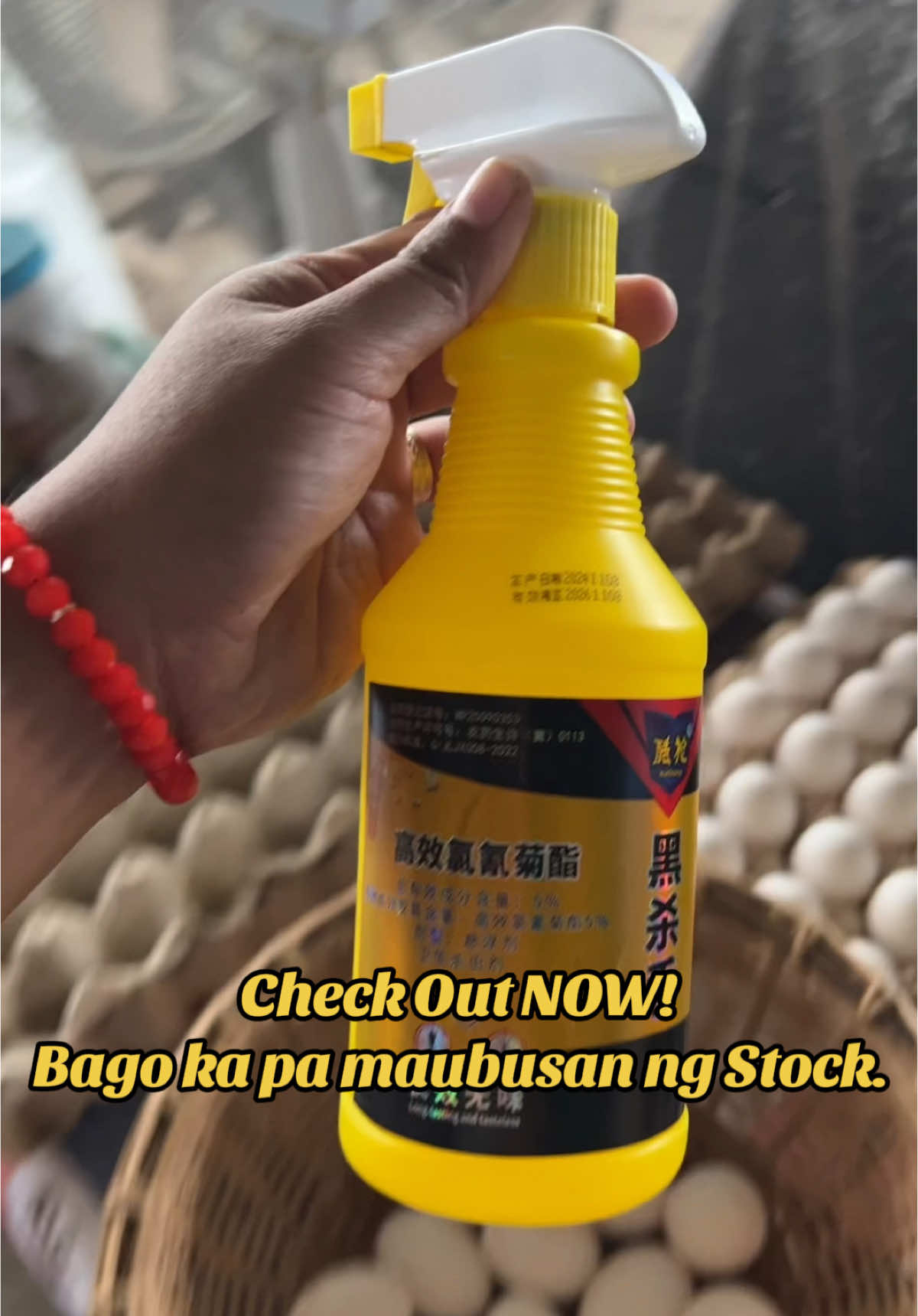 LESS THAN ₱120 fior 500ml Insect Spray. #flieskillerbait #insects #insectspray #killerspray #sprayinsect #nomoreflies #langawproblem #langawproblem #mosquittokiller #ipisproblem #pestcontroller #insecttrap #insectbait 