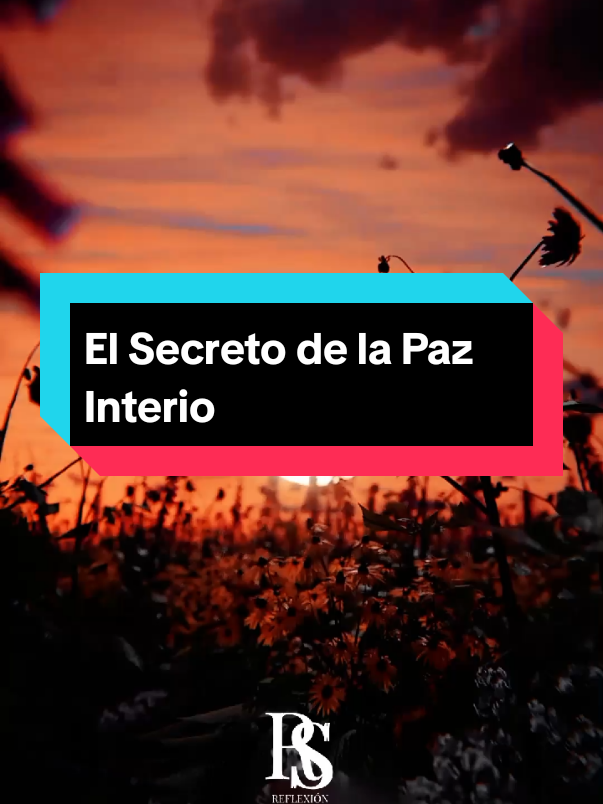 El Secreto de la Paz Interior #desarrollopersonal #motivation #reflexiones #leccionesdelavida 