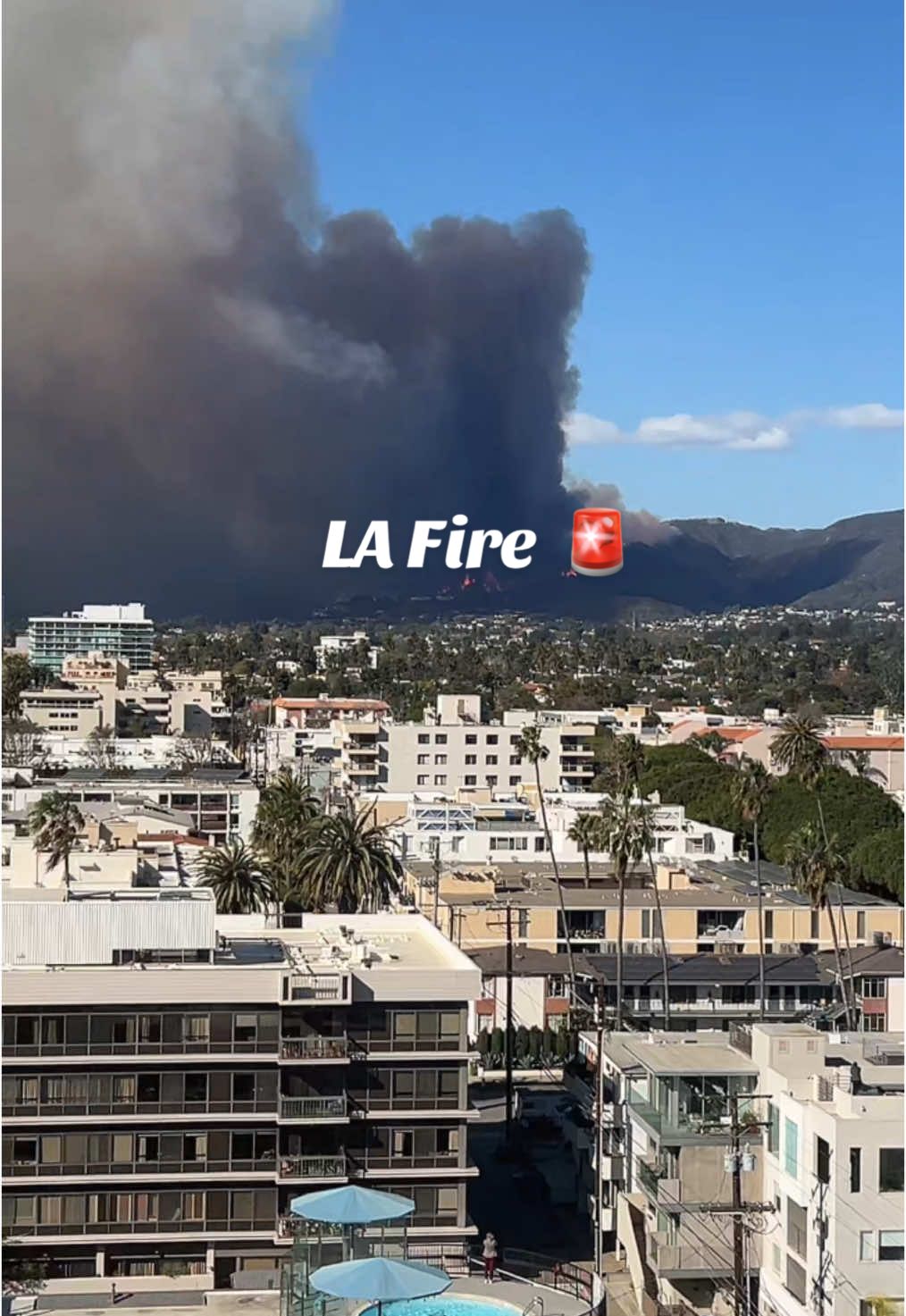 Pacific Palisades Brush fire from my balcony 12:30pm now 200+ Acres 😭🤯 Never seen a fire come down this close to the coast. Evacuate if you’re near it & stay safe 🙏🏼❤️ #pacificpalisades #fire #losangeles #lapd #lafire @KTLA5 Los Angeles 