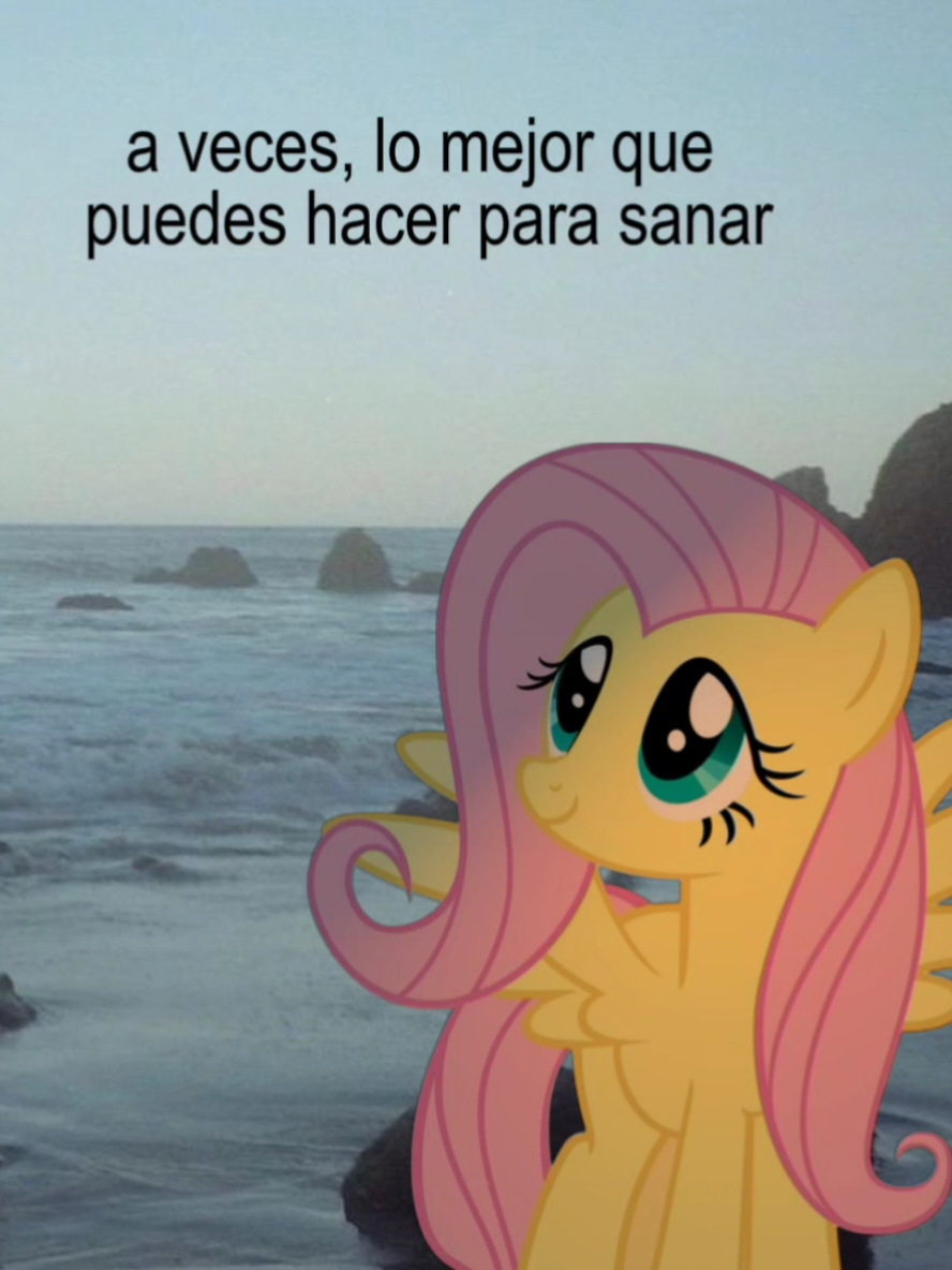 #mlp #motivacion #mensajespositivos #fluttershy 