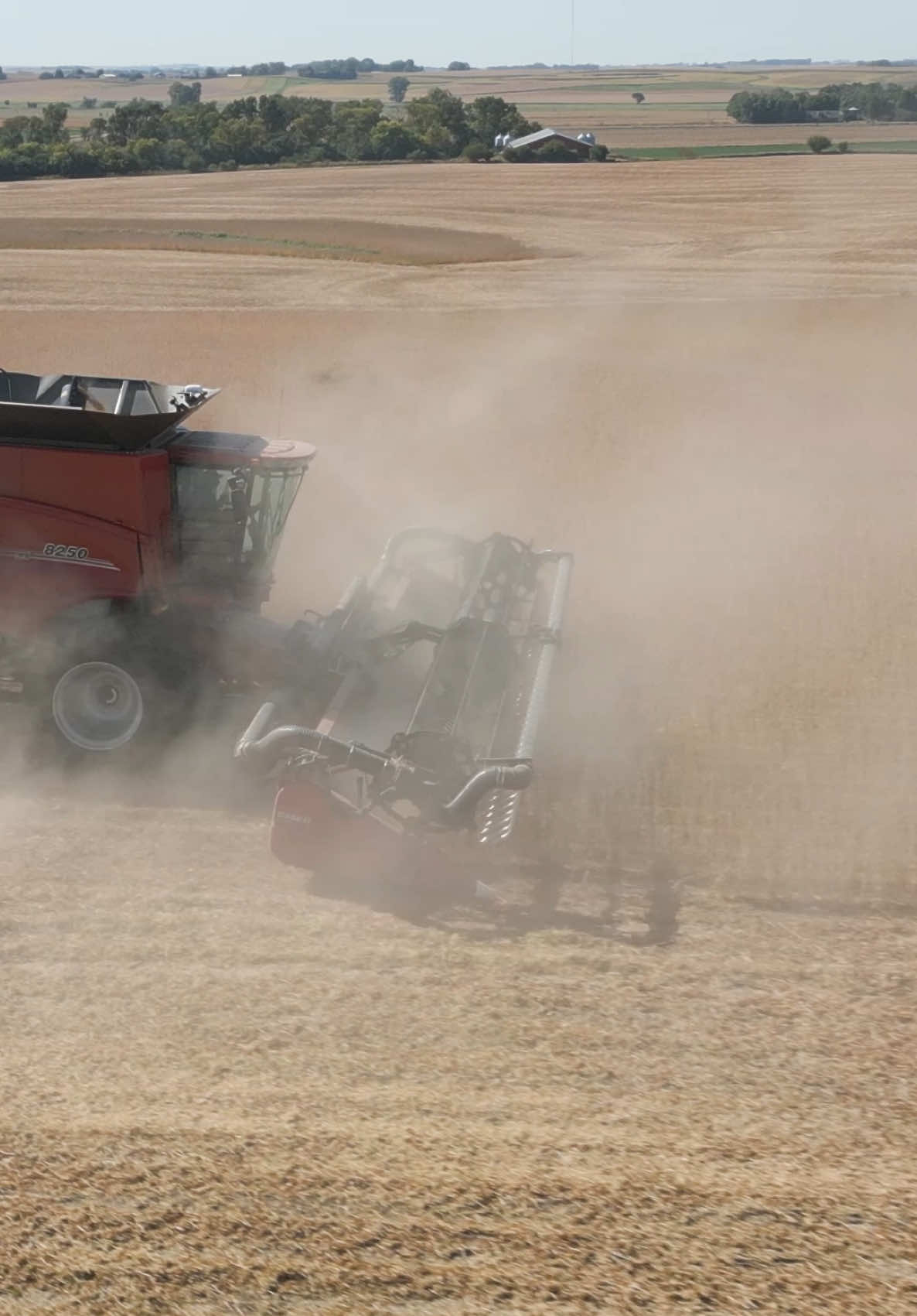 How was your soybean harvest? Ours was super dusty and dry🫛