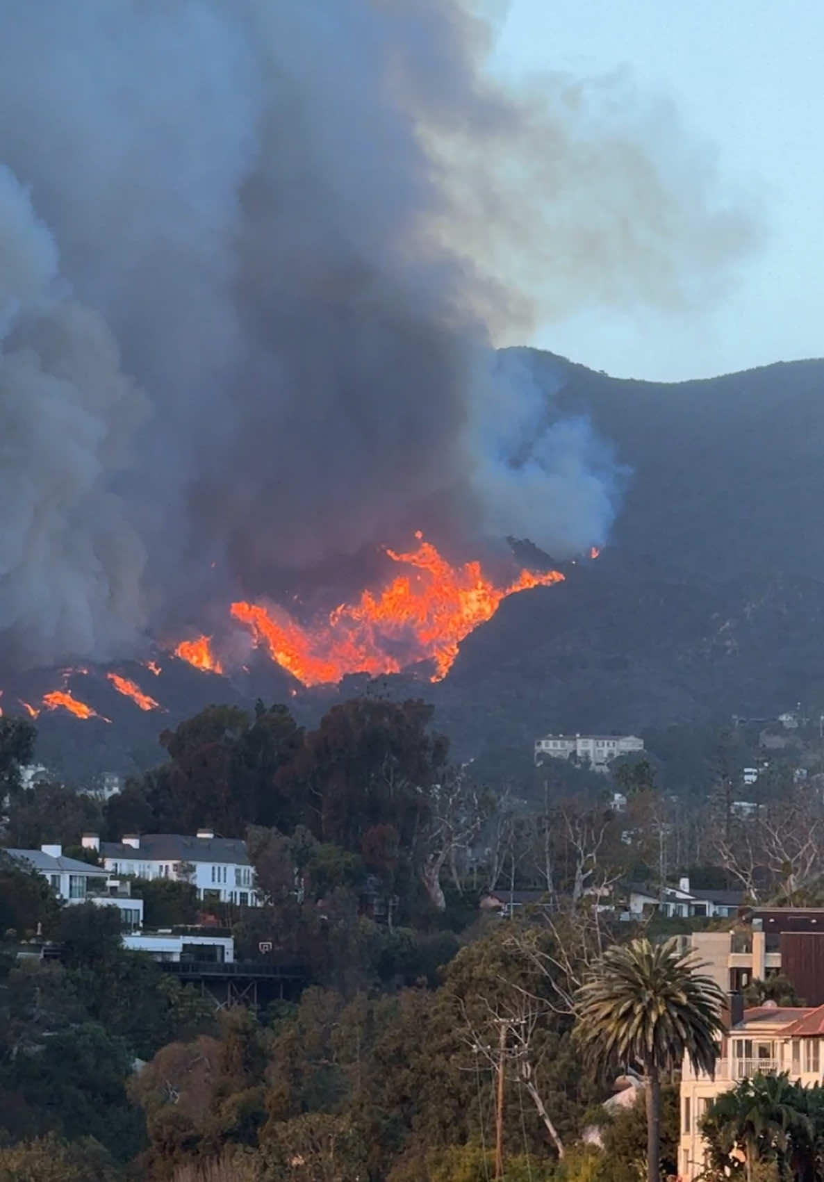 The view from Santa Monica at 3:00 pm today 01/07/25 #pacificpalisades #losangeles #wildfire 