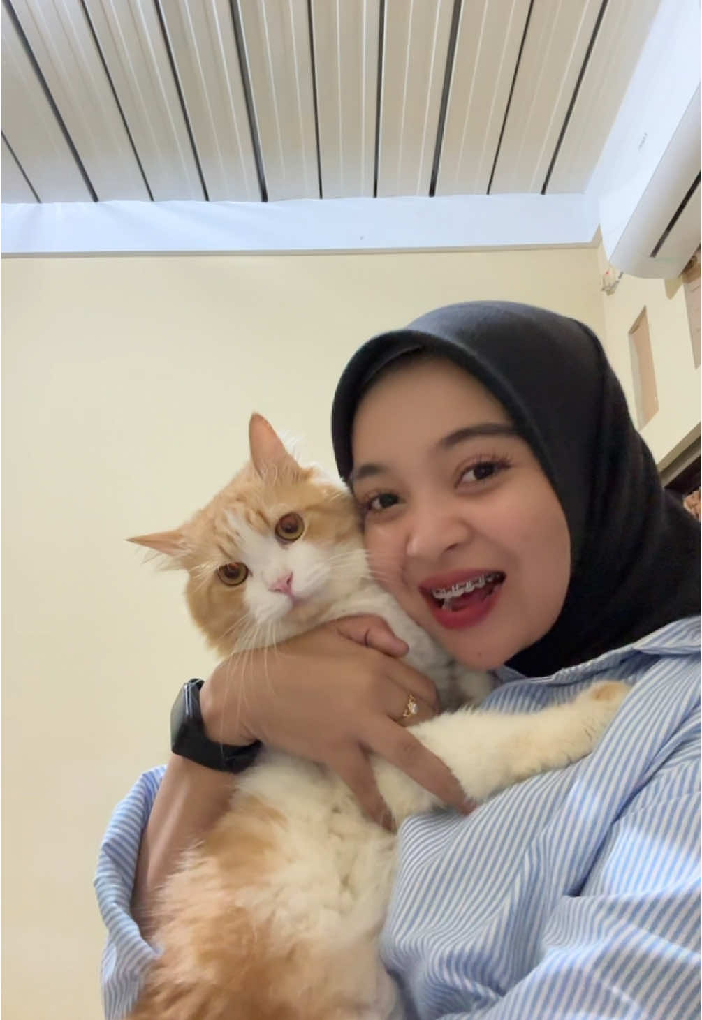 😻😻😻#kucing #kucingoyen 