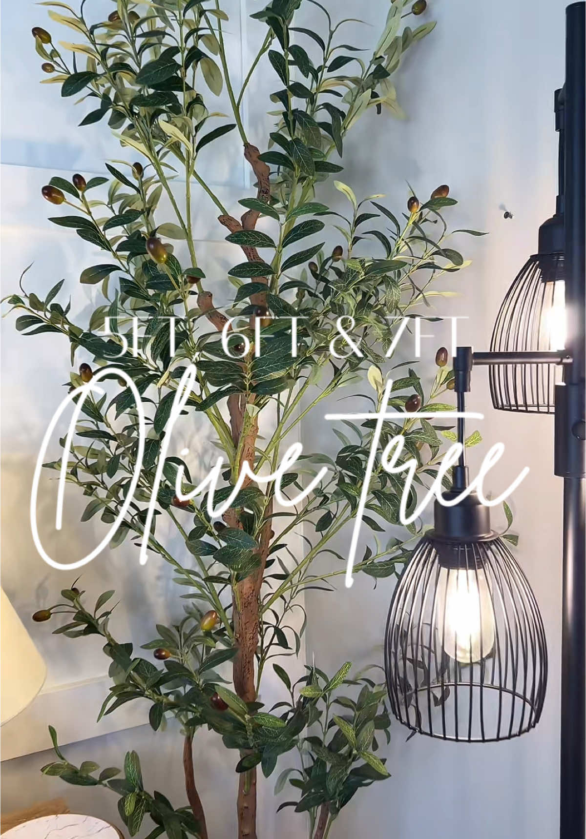 The prettiest olive tree and the best price! Three different heights and available in single or double packs. I put mine in my own basket and it completely transformed this space! Incredible prices for a truly beautiful tree! #olivetree #olivertree #olive #oliver #artificialtree #artificialtrees #plant #plants #artificialplants #neutralhome #neutralhomedecor #interiordesign #organichome #olivetreedecor #blackolives #greenolives #treelovers #treelover #tts #TikTokShop #tiktokshopping #tiktokshopmademebuyit #tiktokshopfinds 