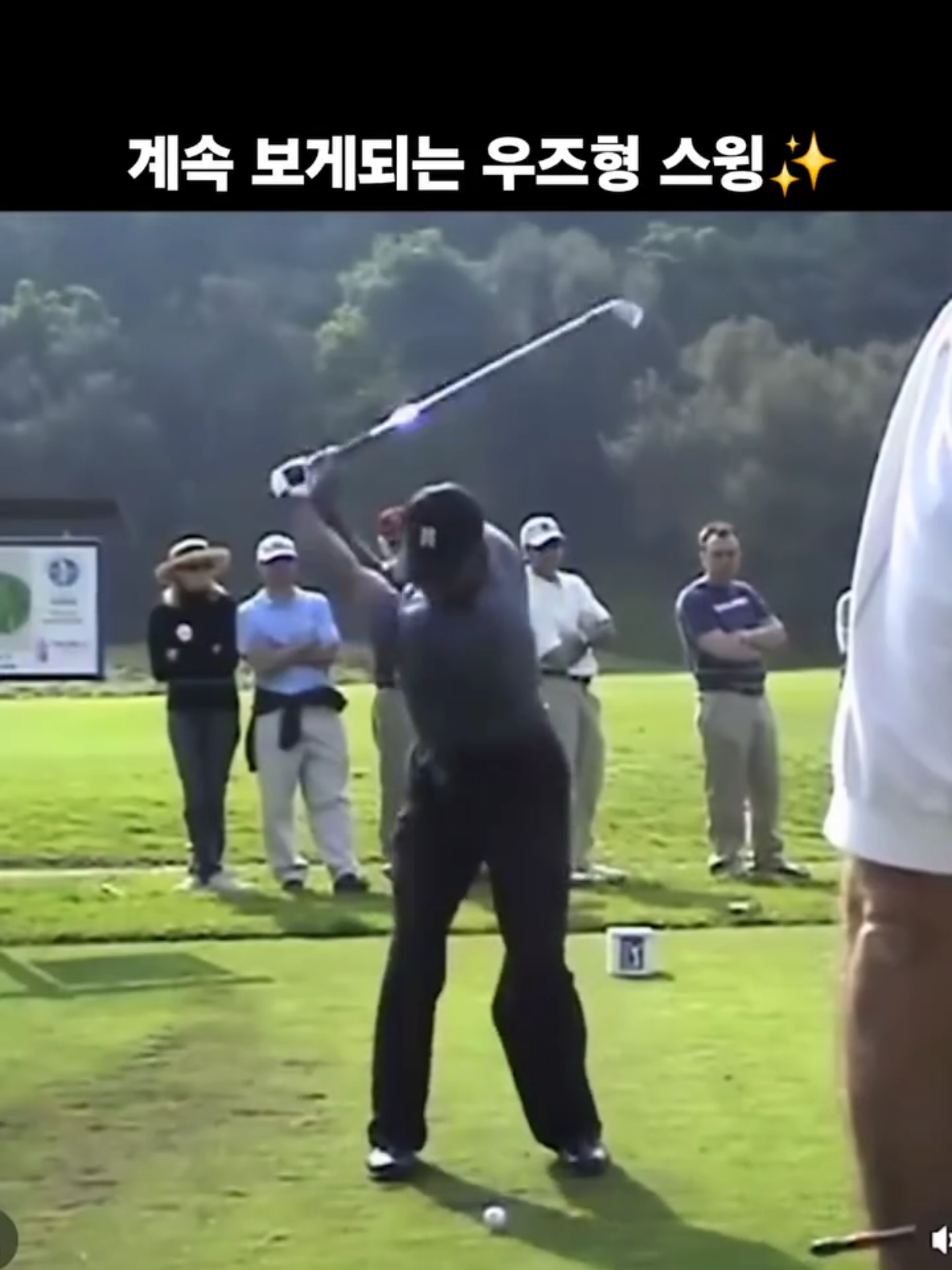 🔸️ 중독성 있는 우즈형 아이언 스윙✨️ #tigerwoods #golfswing #골프 #골프영상 #golf