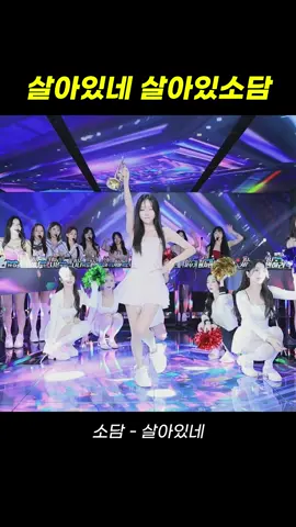 팬더스쿨 2시즌 BJ소담 - 살아있네 #팬더스쿨 #팬더티비 #리액션 #여캠 #댄스커버 #여신 #추천 #dance