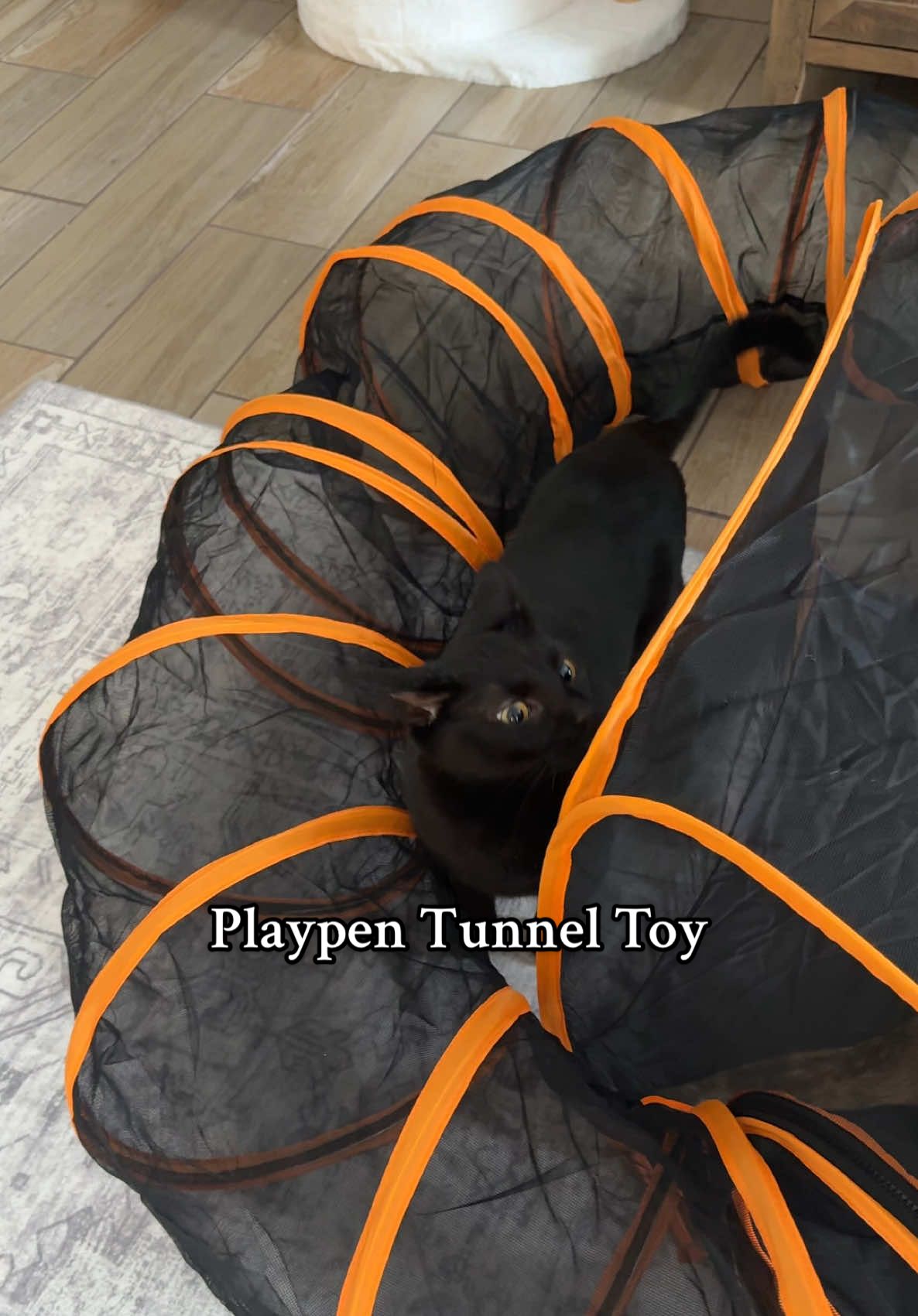 If they could rate this item I think they would give it a 12/10 😆 We will not be using it outdoors though. 1)Because there is snow. 2)I’m afraid of bird flu #zoomies #cattoy #playpen #catplaypen #funforcats #cats #catsoftiktok #trills #meows #tortie #void #funnycats #cattunnels 
