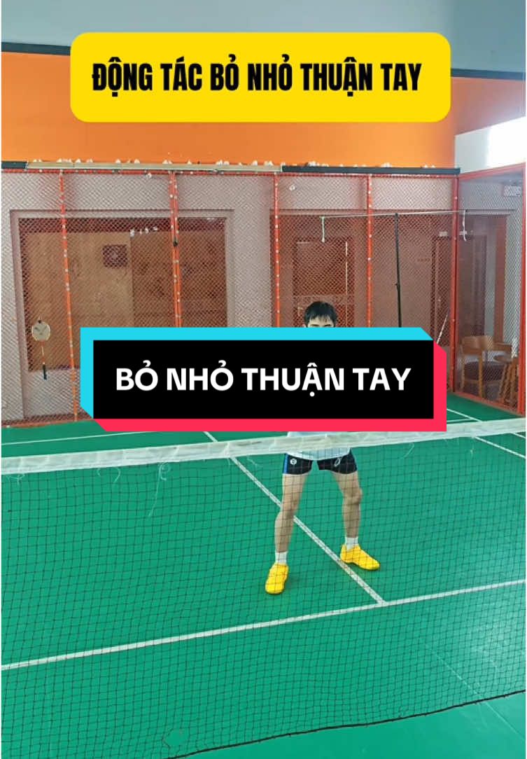 Kỹ thuật bỏ nhỏ thuận tay #badminton #caulong #badmintontiktok #badmintonlove #caulongphongtrao #badmintontraining #kythuatcaulong #hoccaulong 