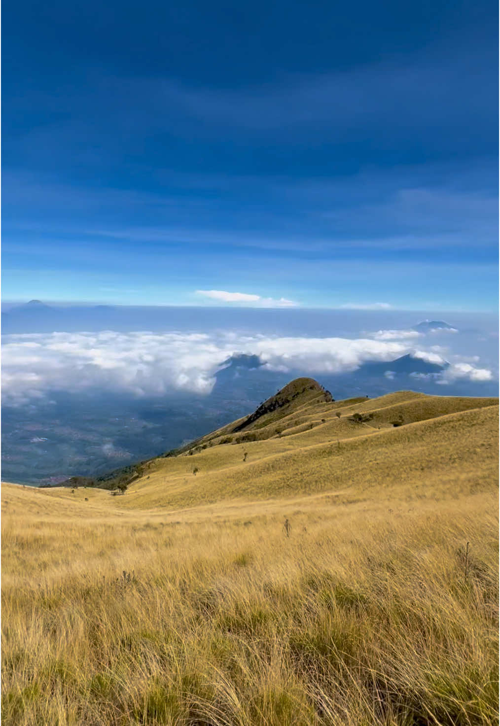 manfaat mendaki? #trend #pecintaalam #foryou #gunung #pendaki #pendakigunung #capcut #merbabu #viasuwanting #merbabuviasuwanting 