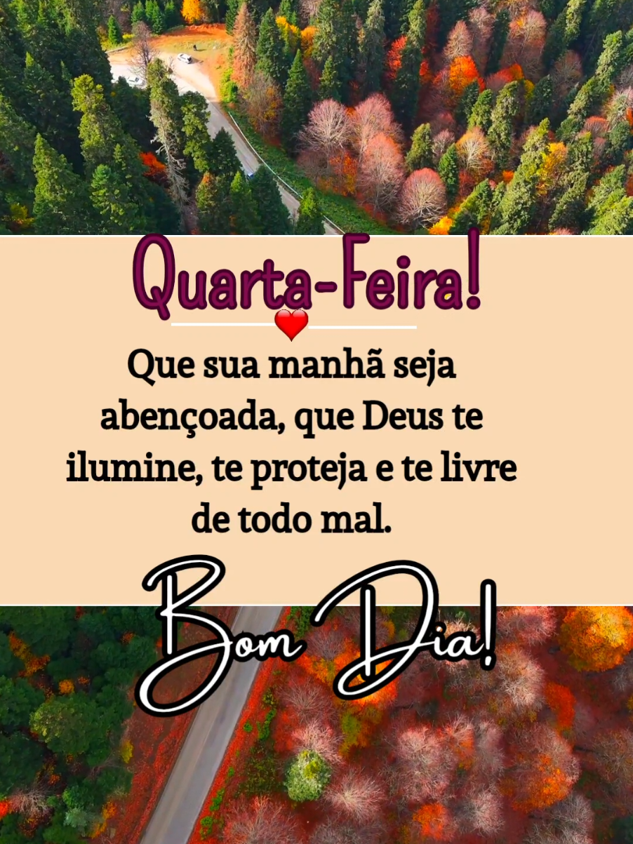 #bomdia #quartafeira #frase 