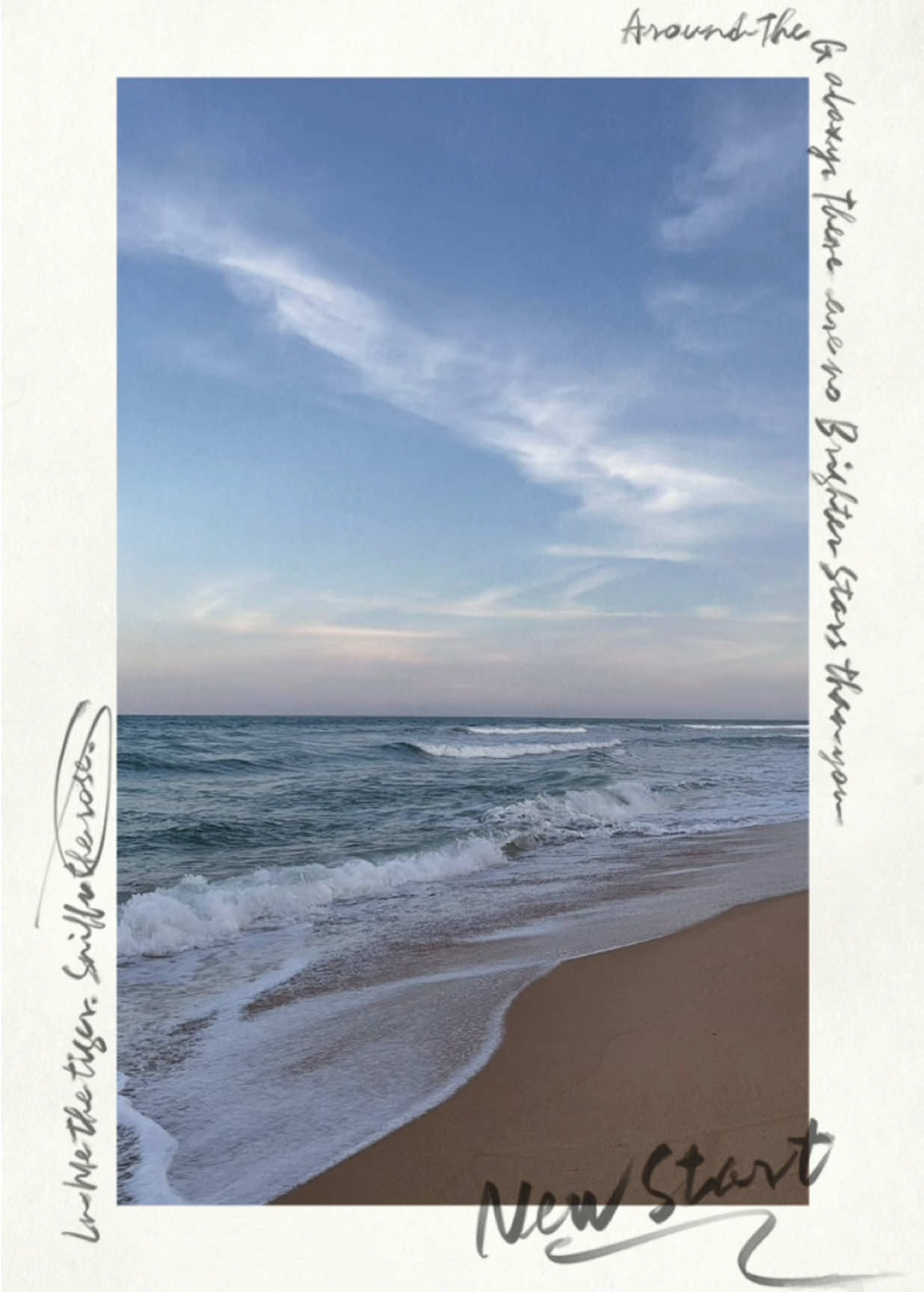 she loves taking photographs | photo dump template #photographs #myphotographs #2025 #newyear #photodump #januarydump #flex #capcutedit #capcut_edit #capcuttemplate #pov #fyp #frame #polaroid #fypシ #foryoupage #memories #aesthetic #recap #photodump #CapCut 