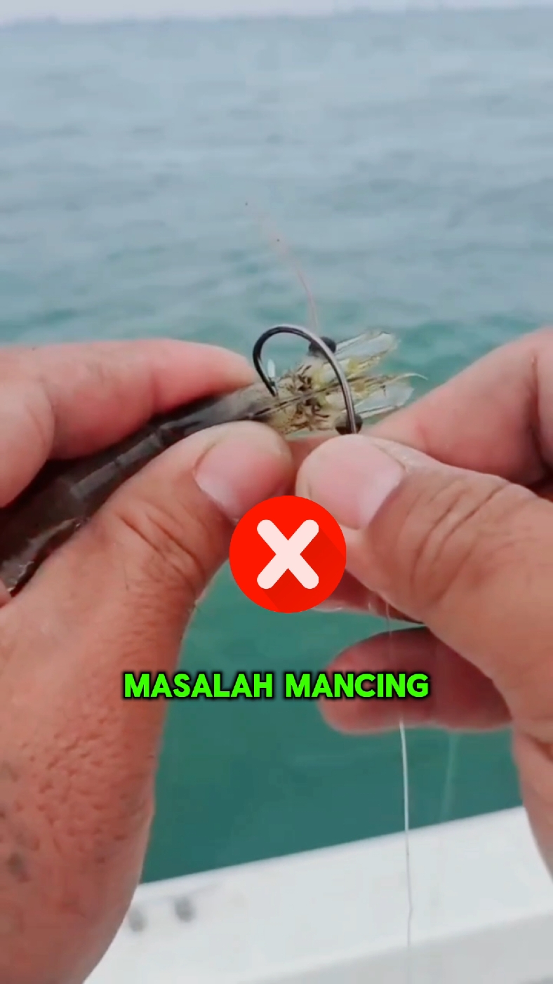 mata kail udang hidup #mancing #matakail 