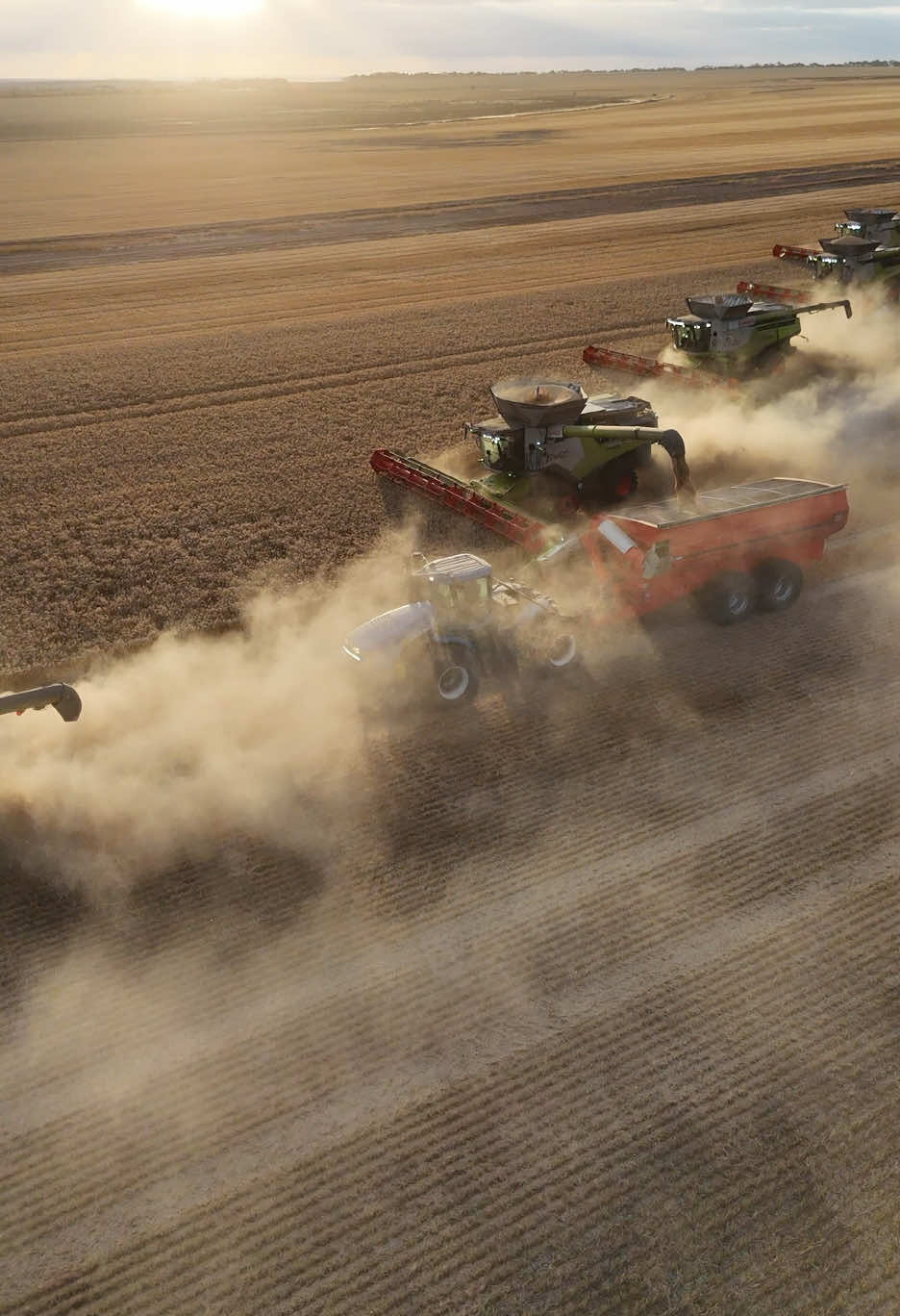 Golden hour 🌅 #claas #westernAustralia #broadacrebros #8800 #drone 