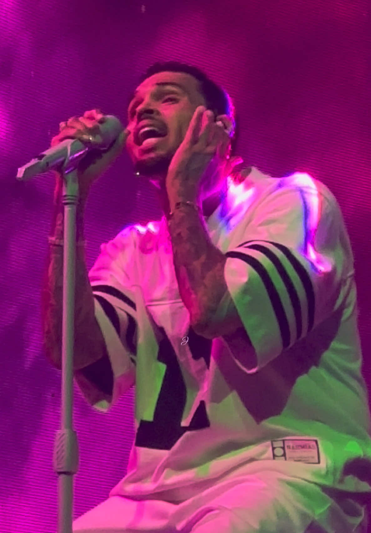 VOCALS🤌🏼 he could be singing about vegetables and I’d still listen  #chrisbrownofficial #1111tour #chrisbrowntiktok #chrisbrown #breezy #teambreezy #fyp #chrisbrownconcert #cometogether @chrisbrownofficial 